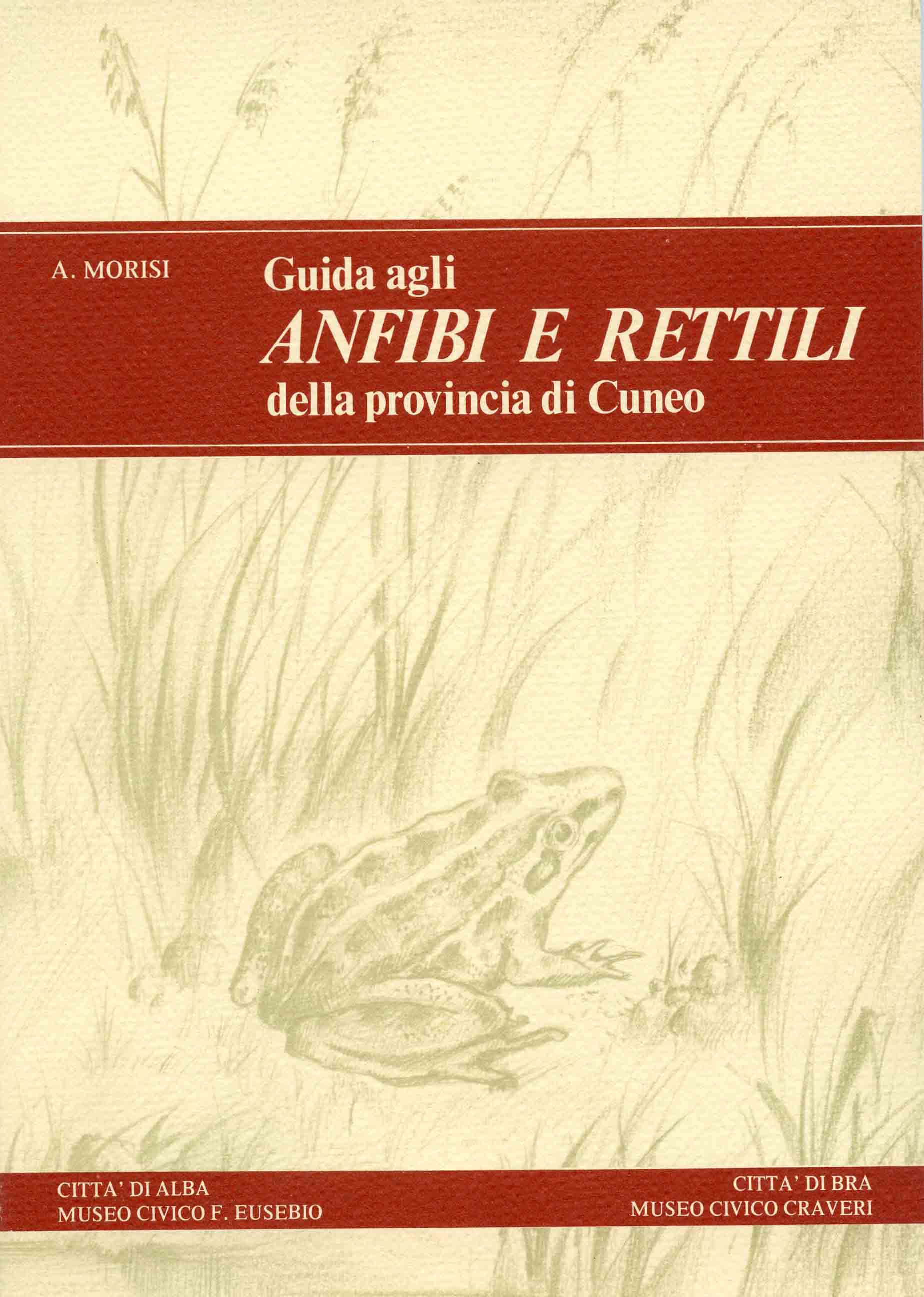 Image for Guida agli Anfibi e Rettili della provincia di Cuneo