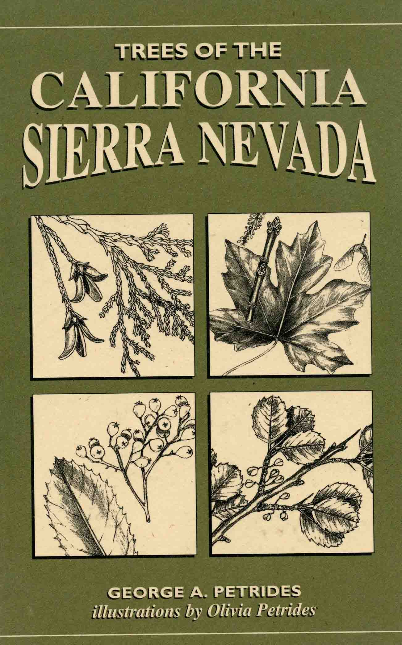 Image for Trees of the California Sierra Nevada,