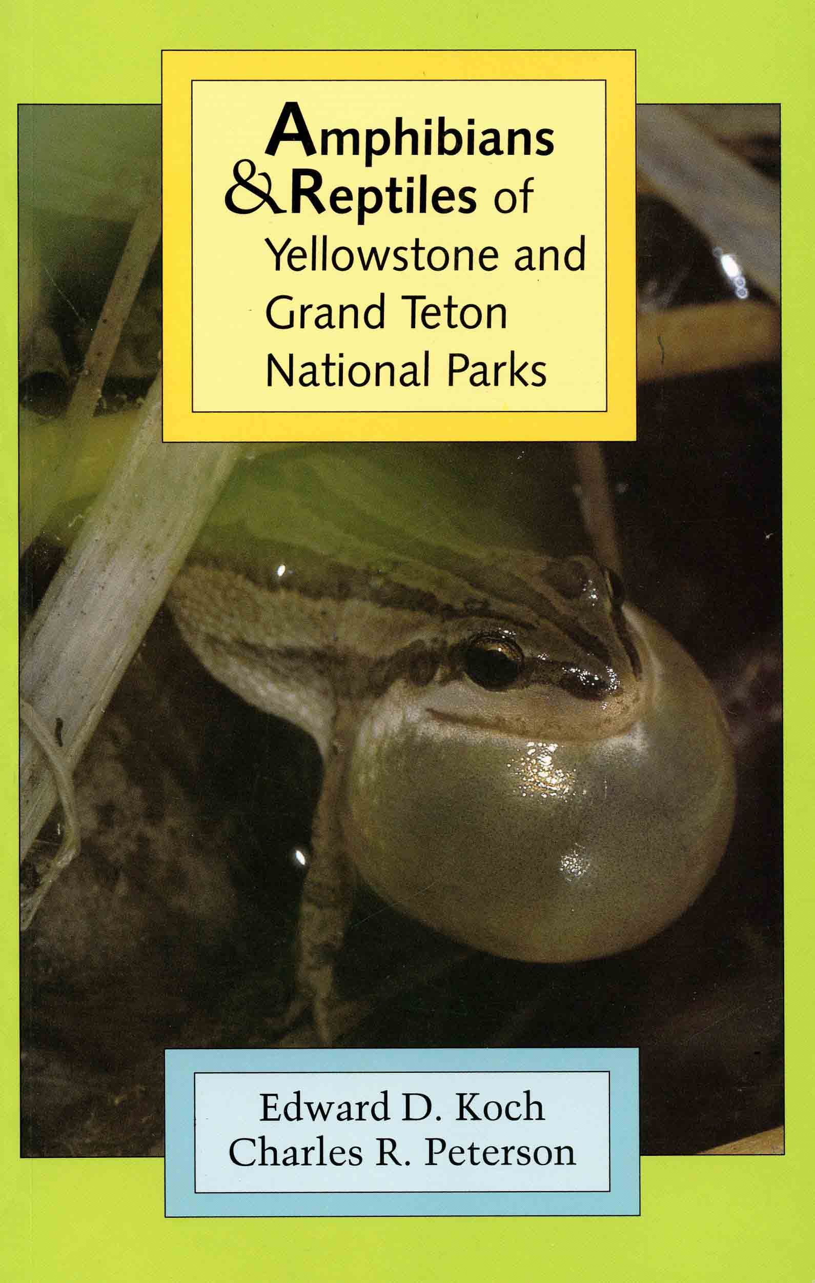 Image for Amphibians & Reptiles of Yellowstone and Grand Teton National Parks