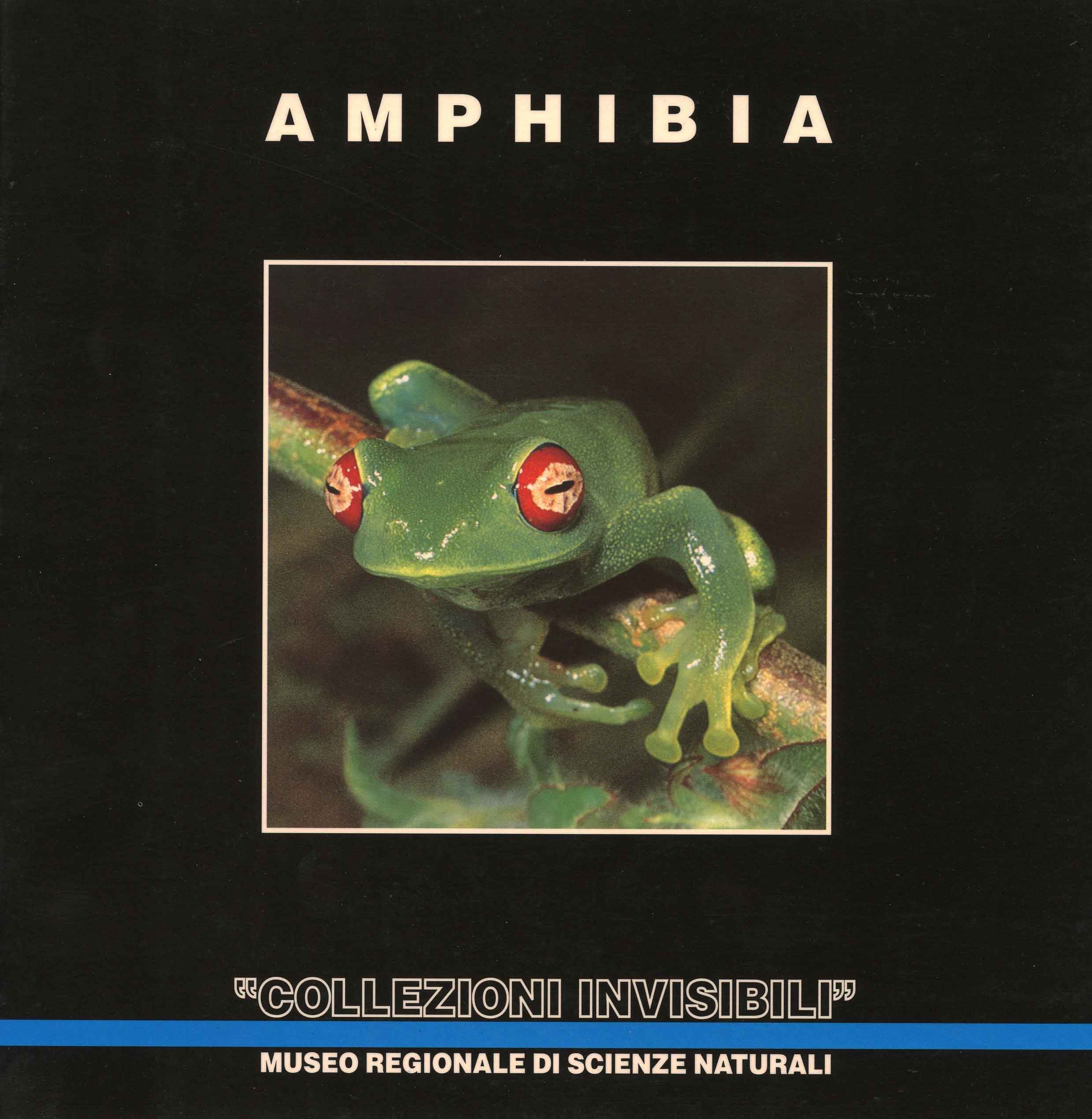 Image for "Collezioni Invisibli": Amphibia