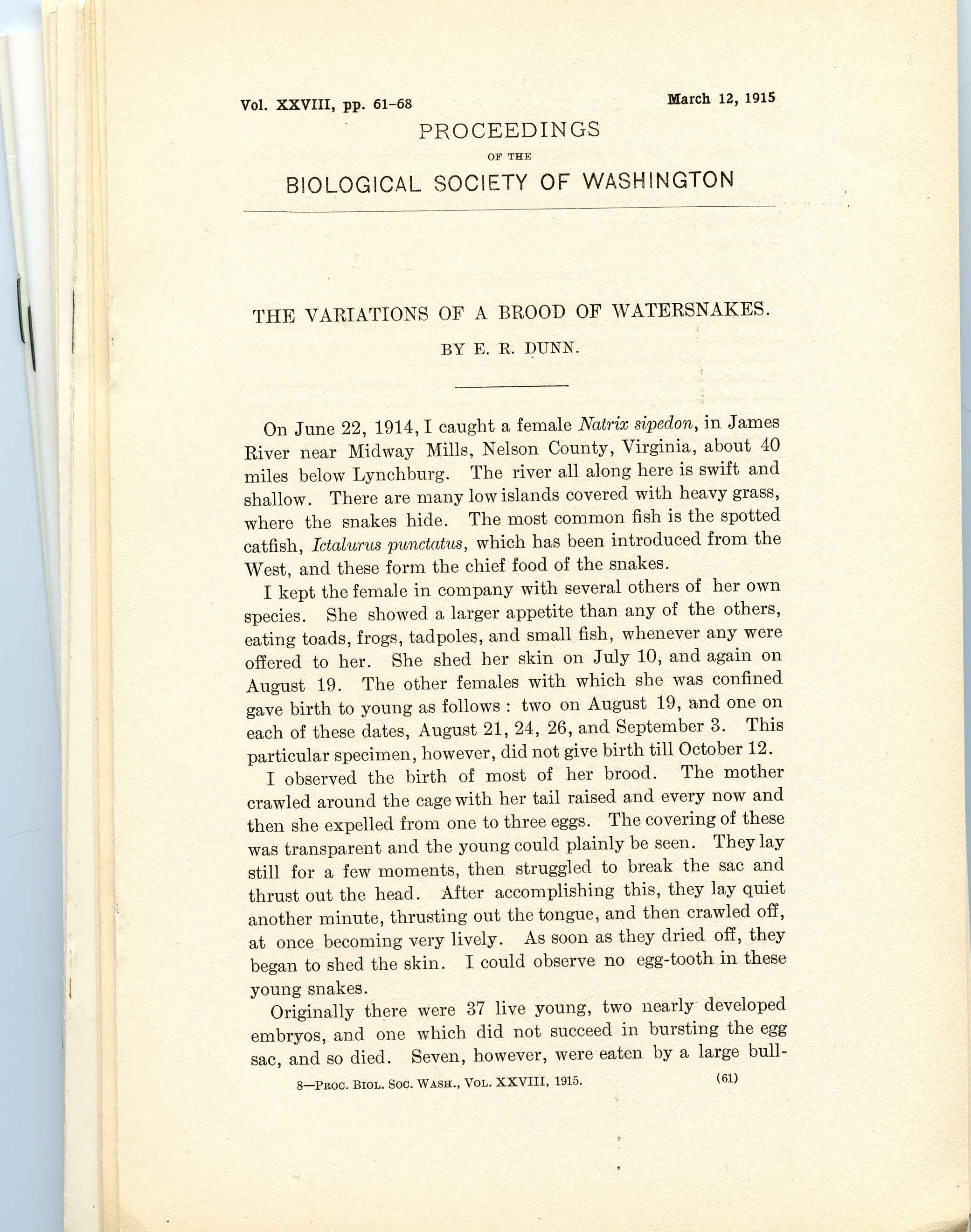 Image for Bundle #8 (Proceedings of the Biological Society of Washington),