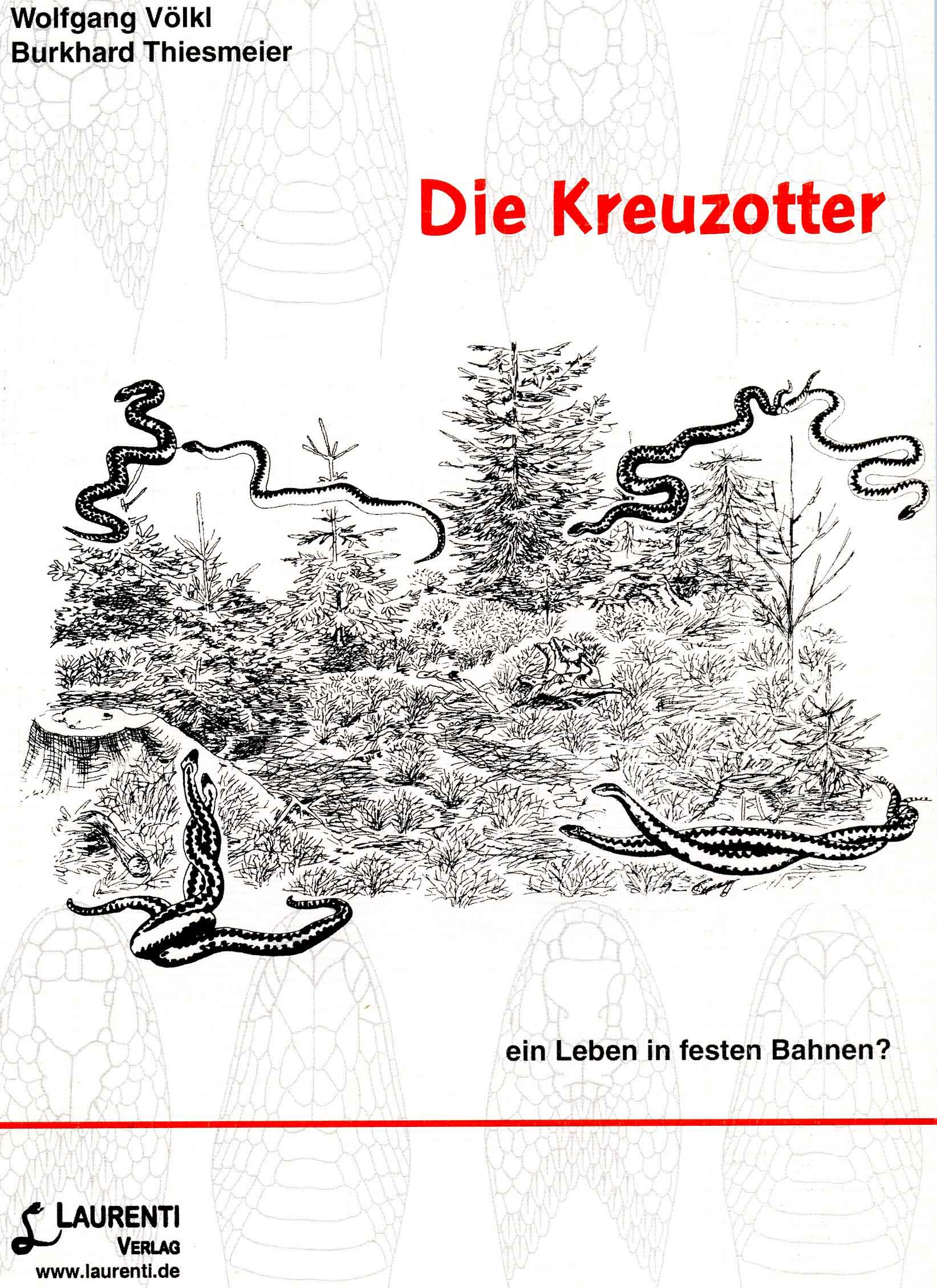 Image for Die Kreuzotter ein Leben in festen Bahnen?