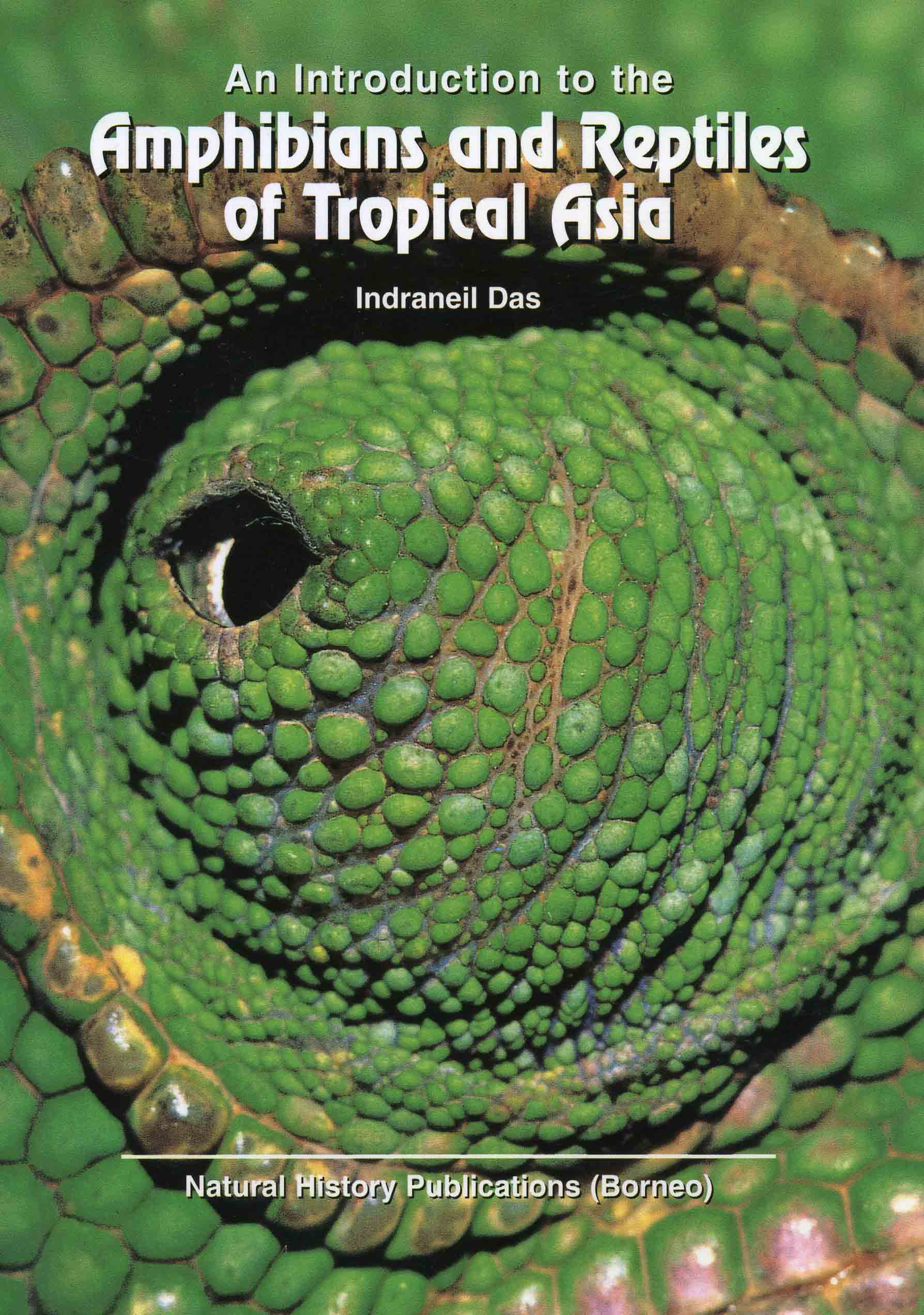 Image for An Introduction to the Amphibians and Reptiles of Tropical Asia