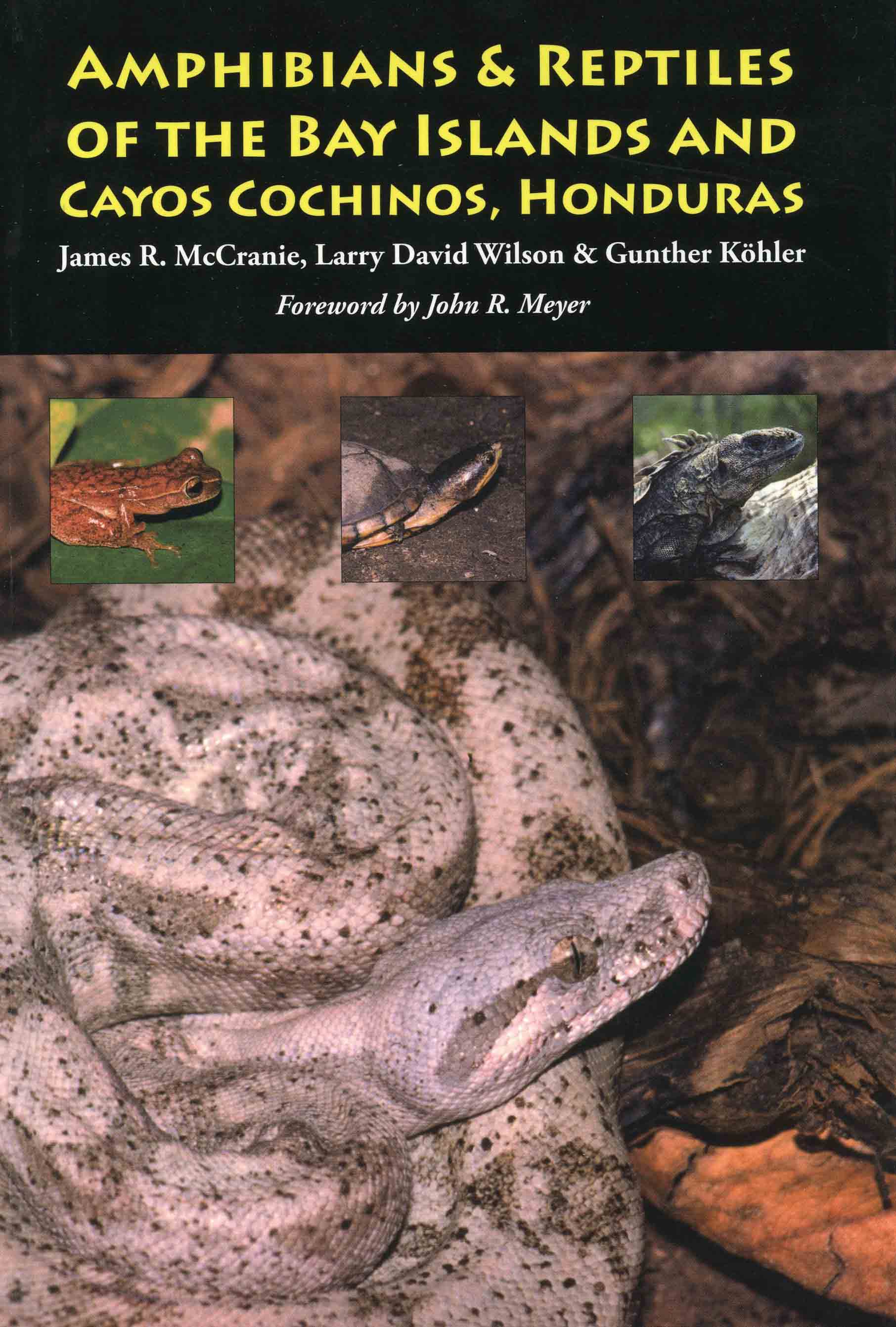 Image for Amphibians & Reptiles of the Bay Islands and Cayos Cochinos