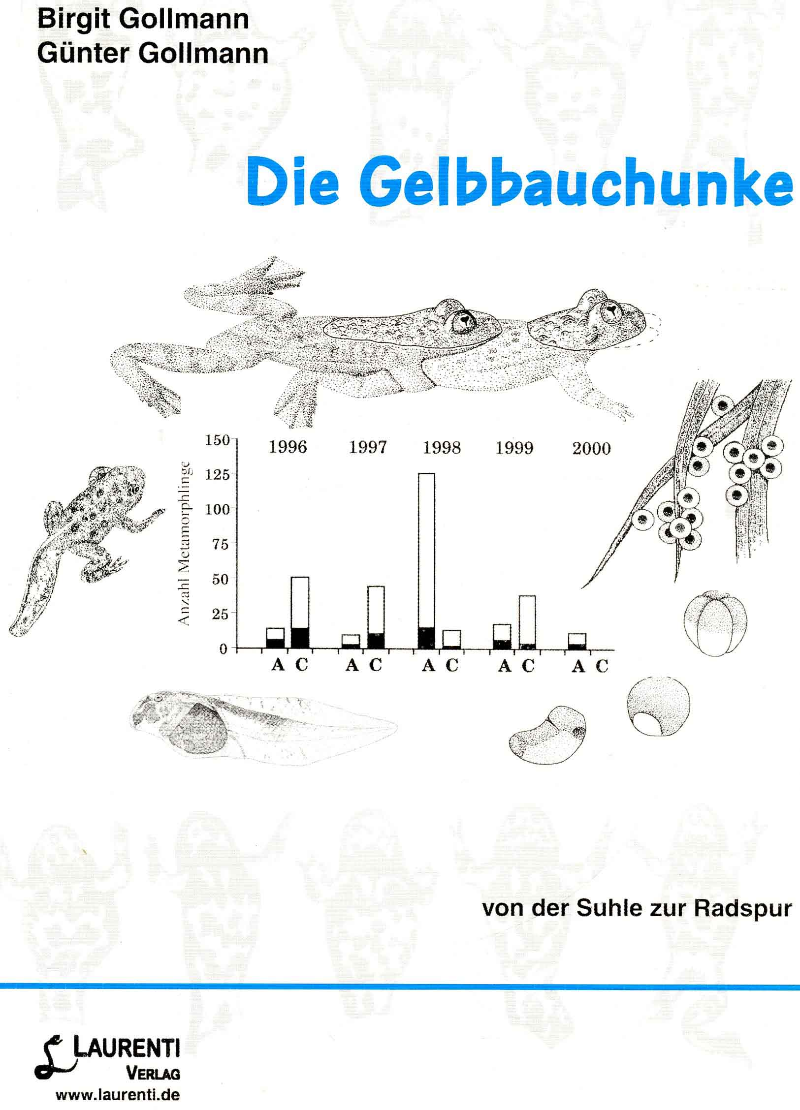 Image for Die Gelbbauchunke von der Suhle zur Radspur