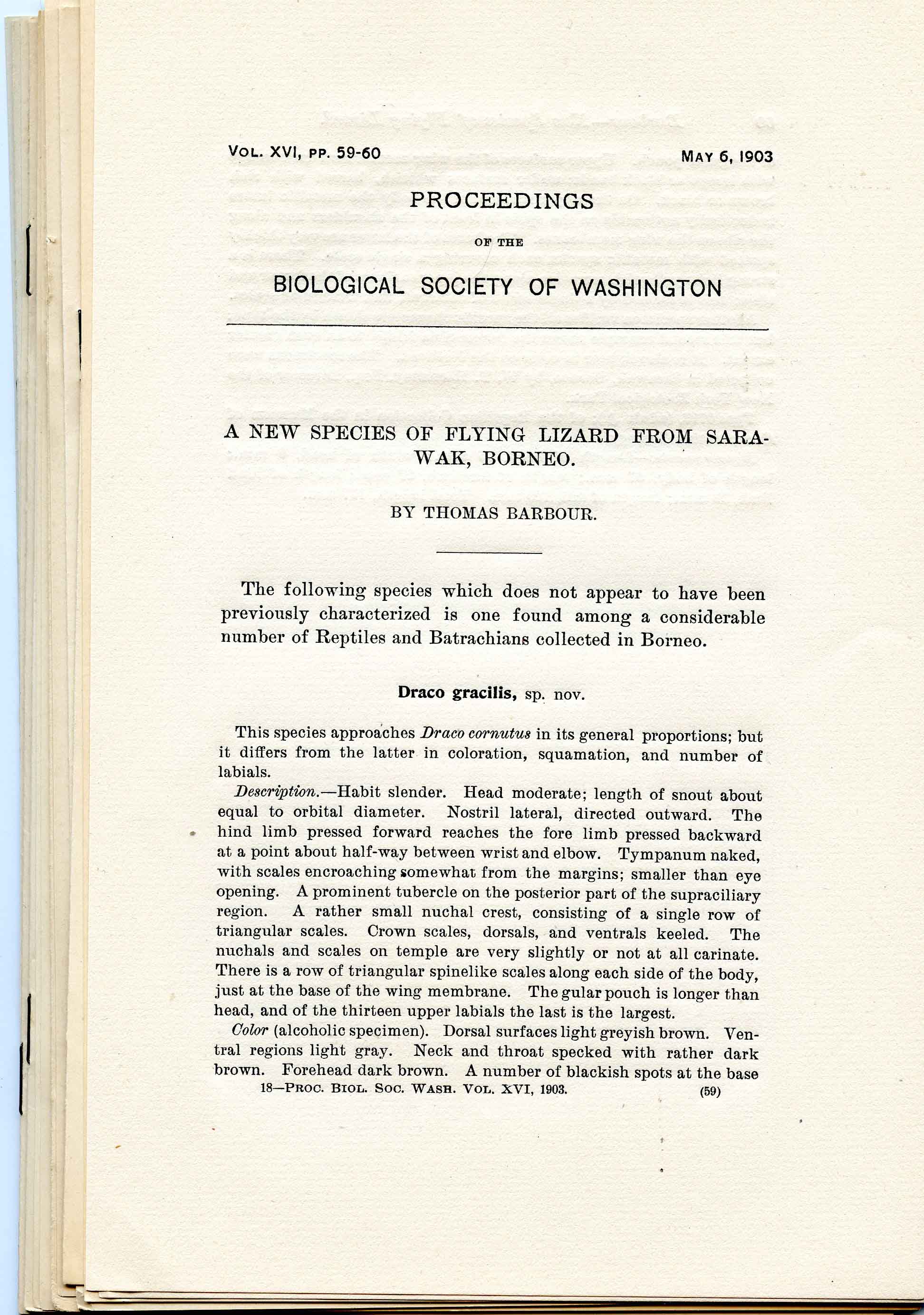 Image for Bundle #7 (Proceedings of the Biological Society of Washington),