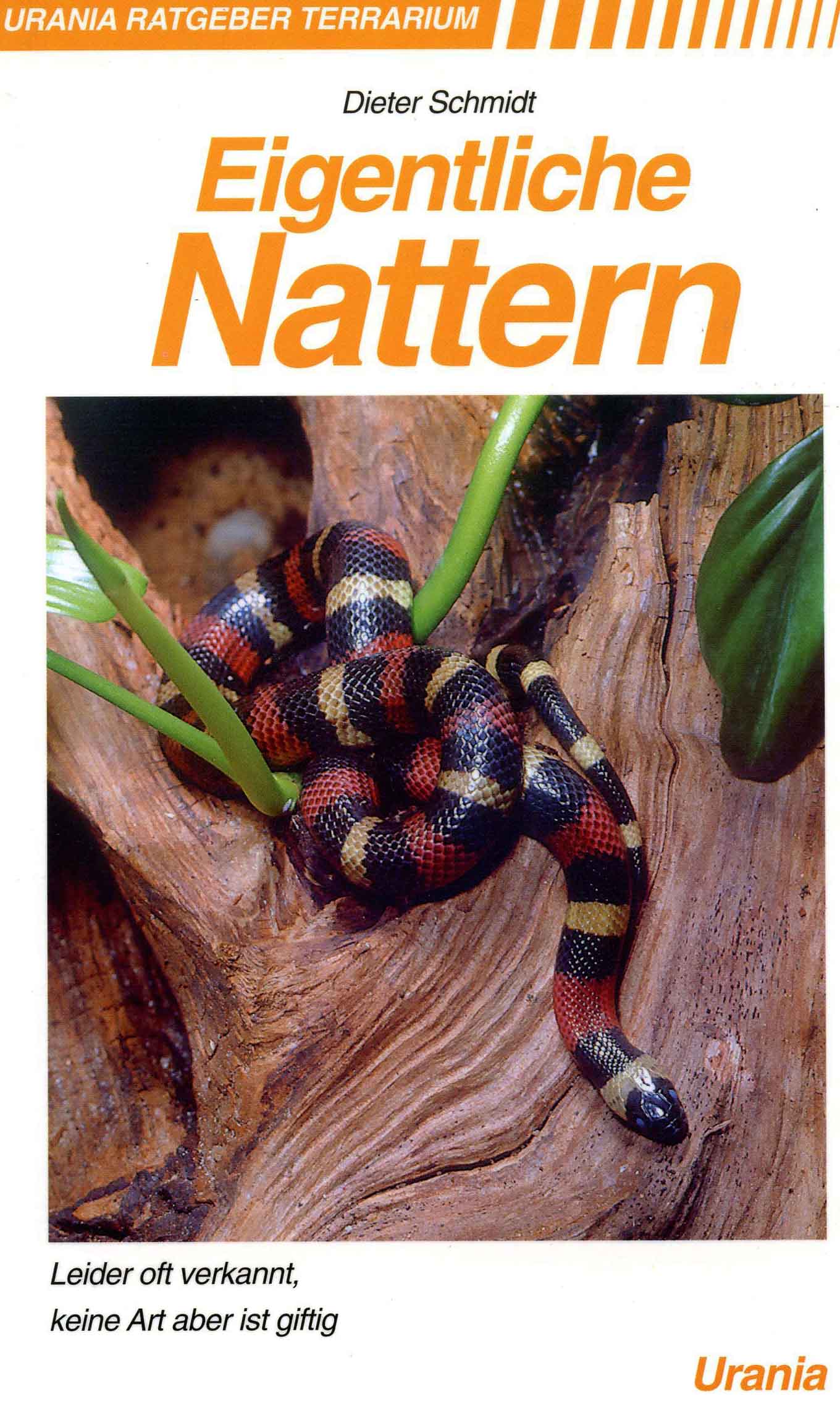Image for Eigentichle Nattern