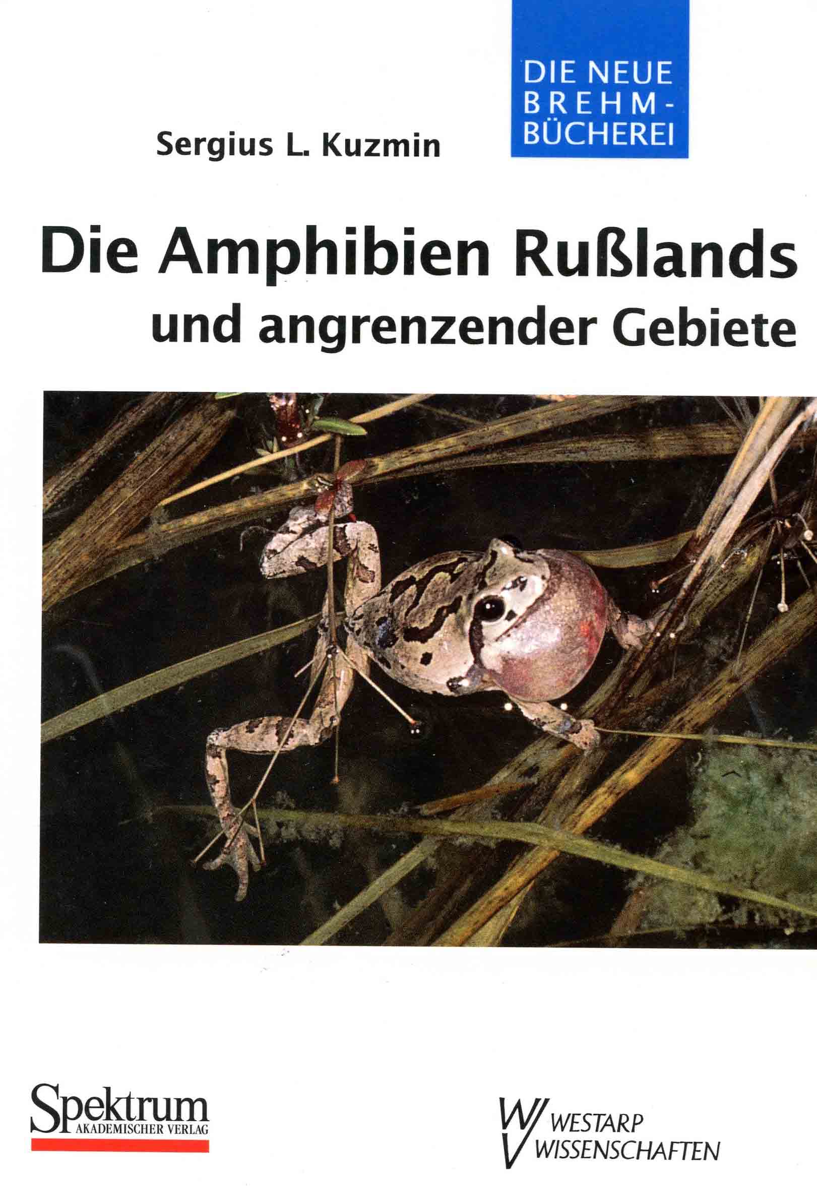 Image for Die Amphibien Rußlands und Angrenzender Gebiete