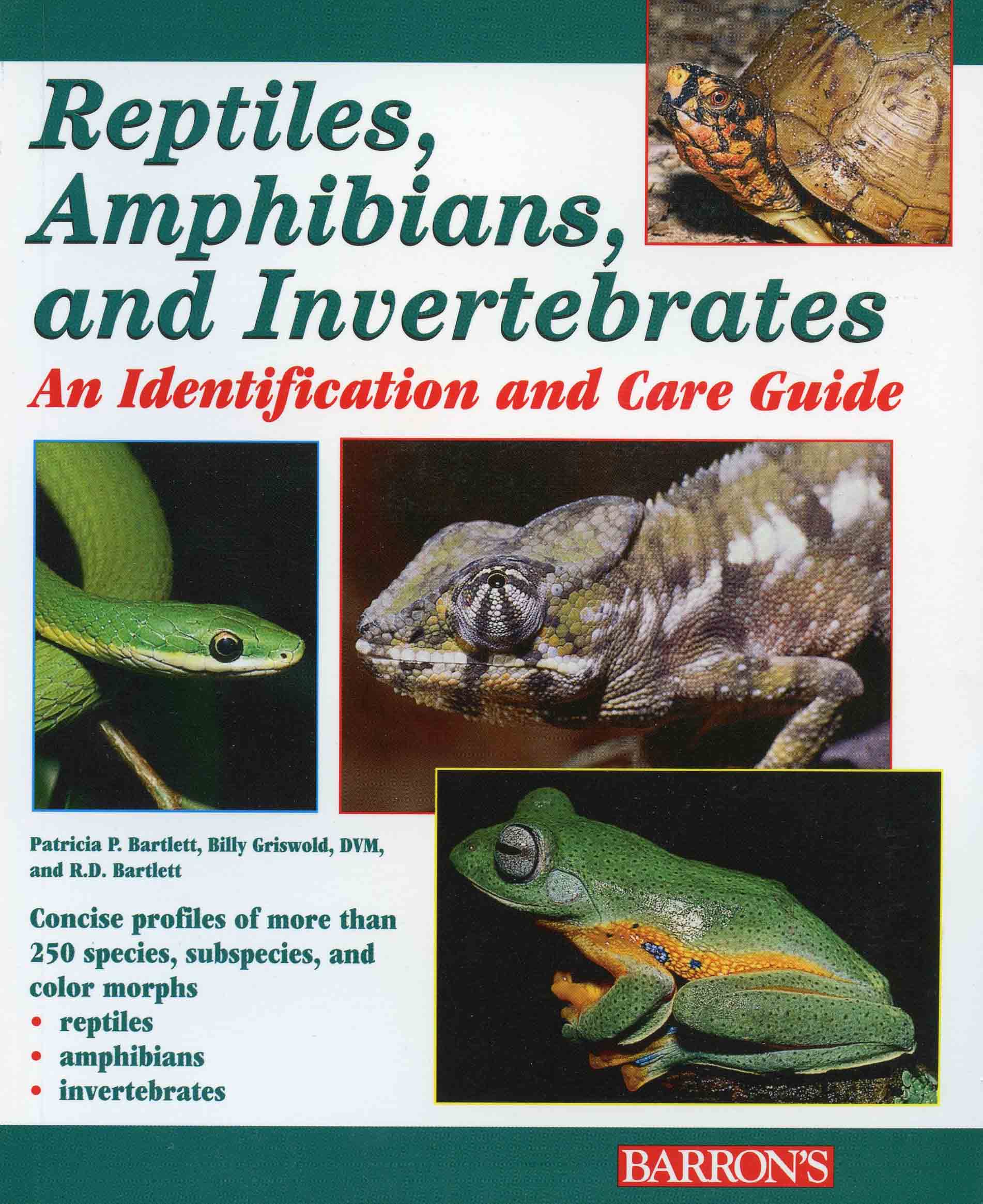Image for Reptiles, Amphibians, and Invertebrates: An Identification and Care Guide
