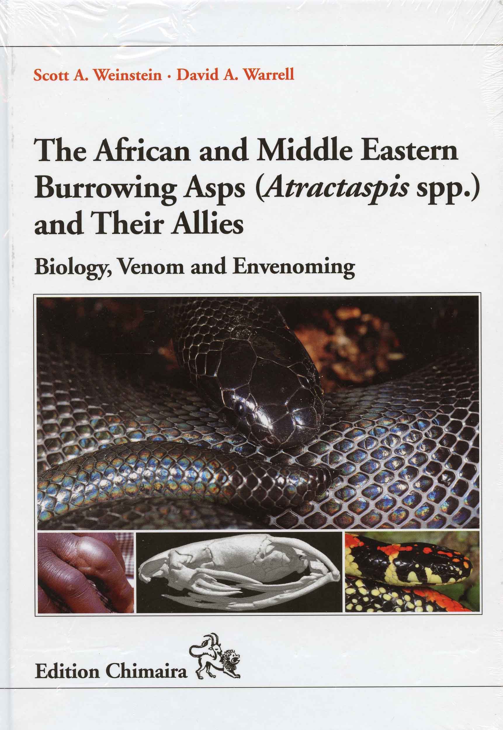 Image for The African and Middle Eastern Burrowing Asps (Atractaspis spp.) and their Allies: Biology, Venom and Envenoming