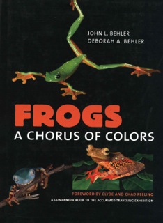 Image for Frogs: A Chorus of Colors,