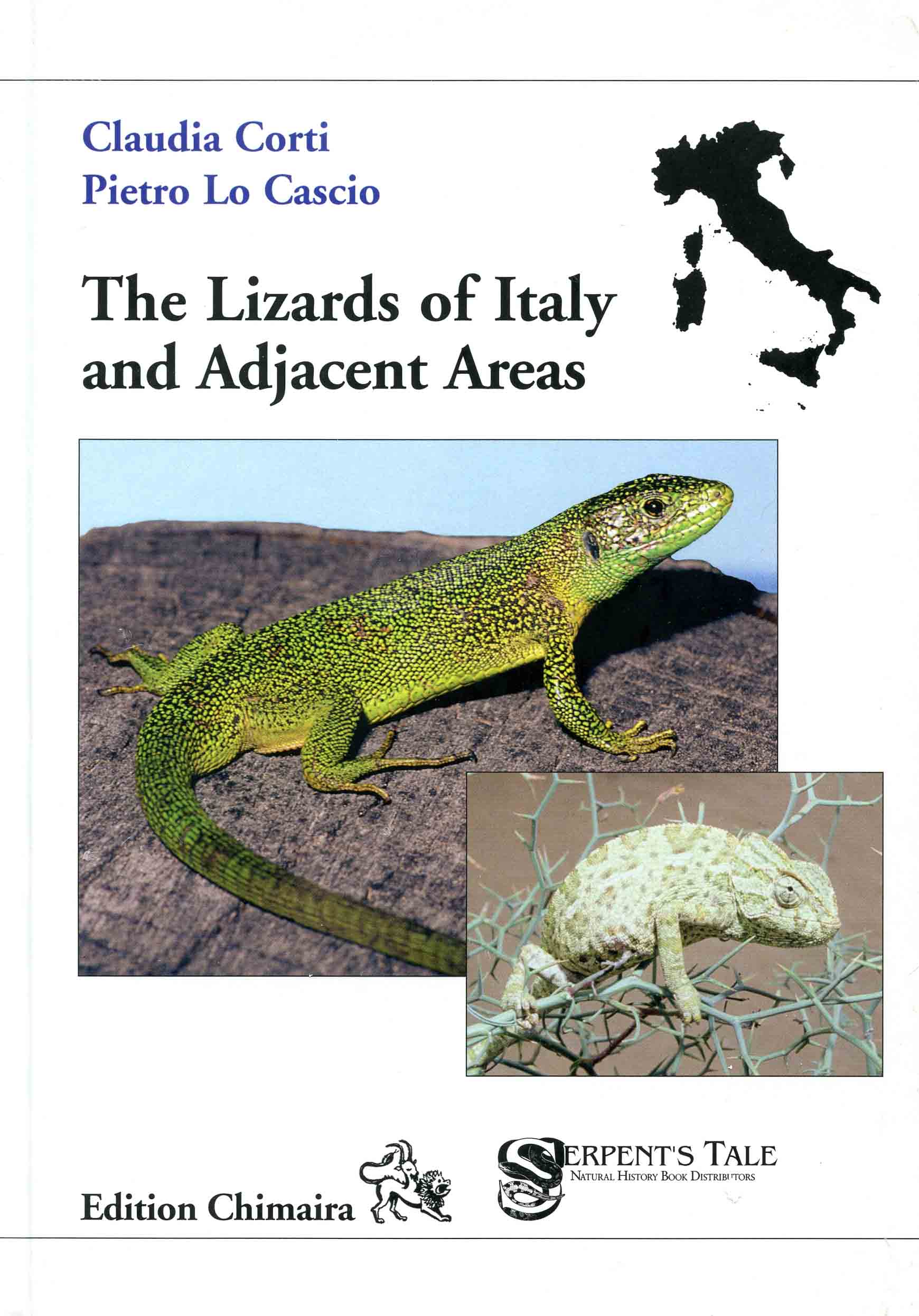 Image for The Lizards of Italy and Adjacent Areas,