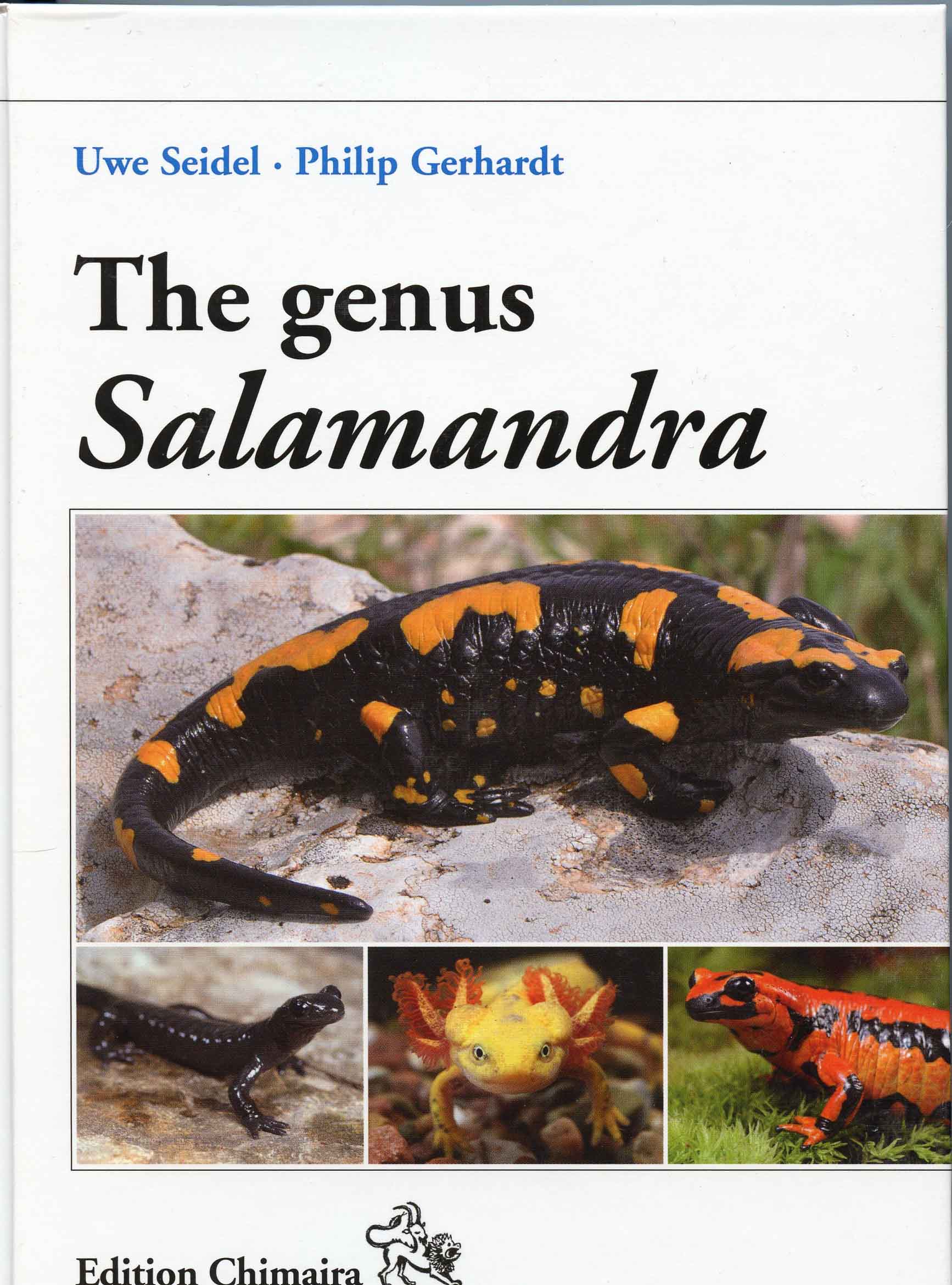 Image for The Genus Salamandra,