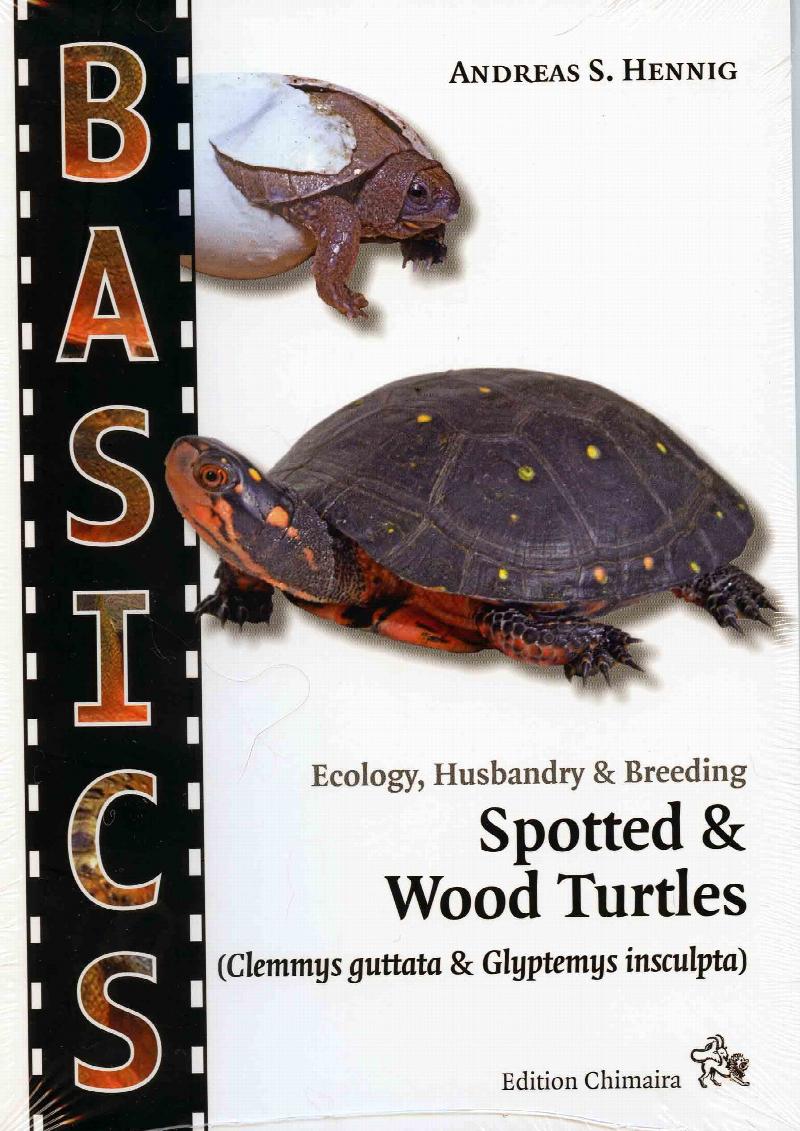 Image for Ecology, Husbandry & Breeding: Spotted & Wood Turtles (Clemmys guttata & Glyptemys insculpta)