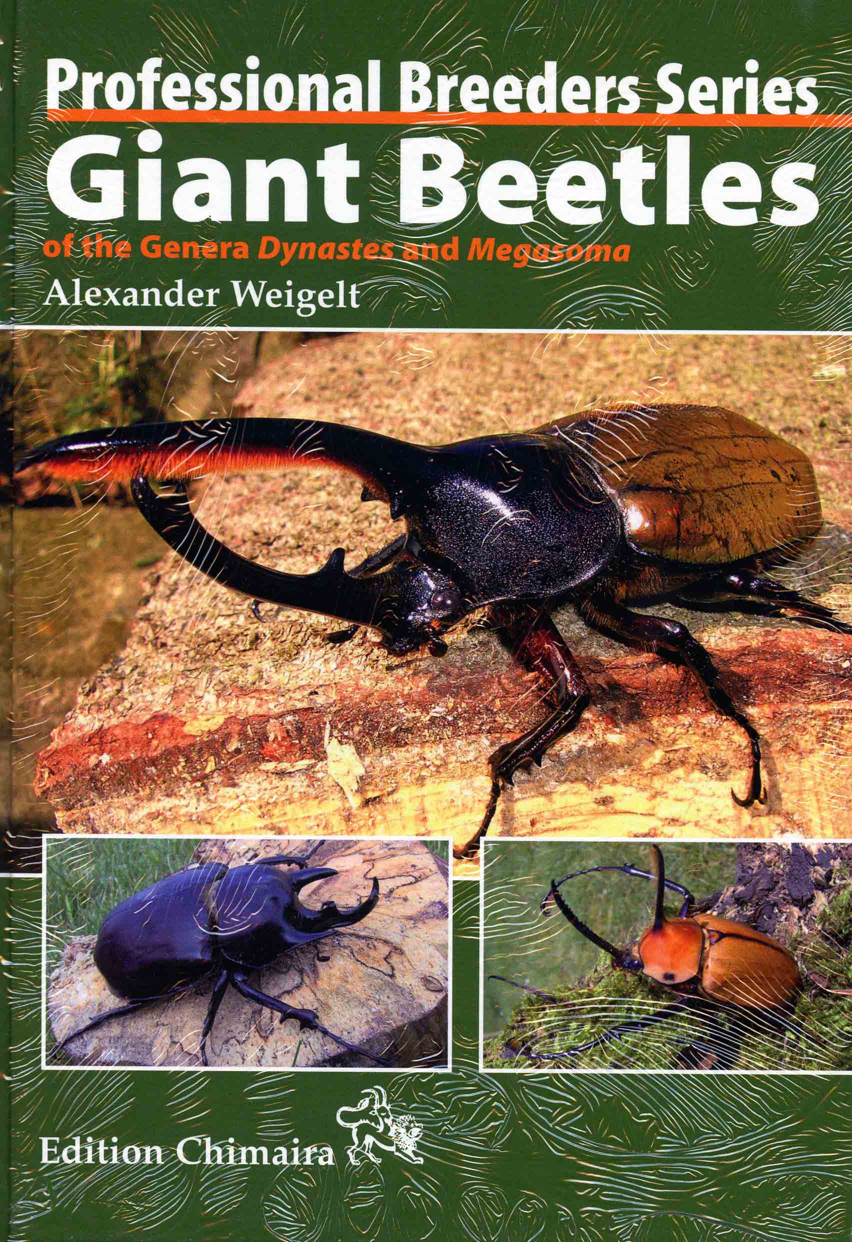 Image for Giant Beetles of the Genera Dynastes and Megasoma,