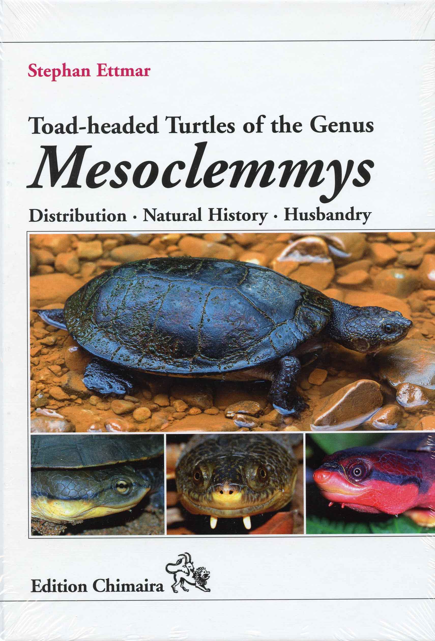 Image for Toad-headed Turtles of the Genus Mesoclemmys, Distribution, Natural History, Husbandry,