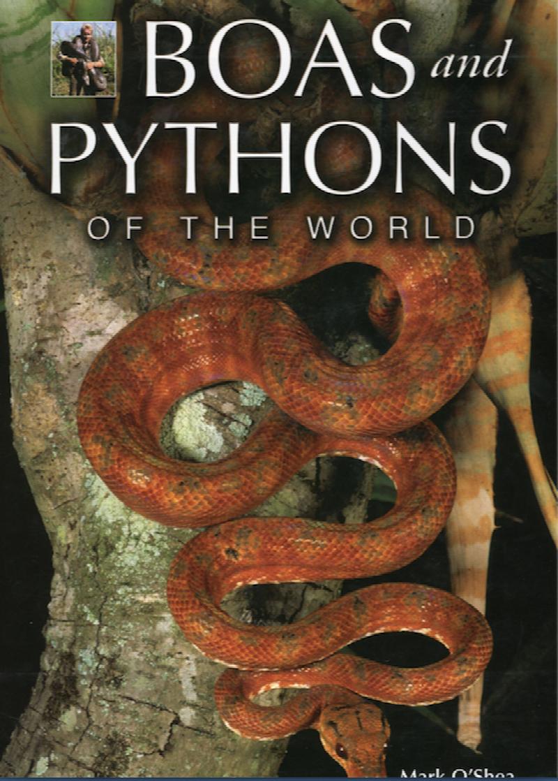 Image for Boas and Pythons of the World