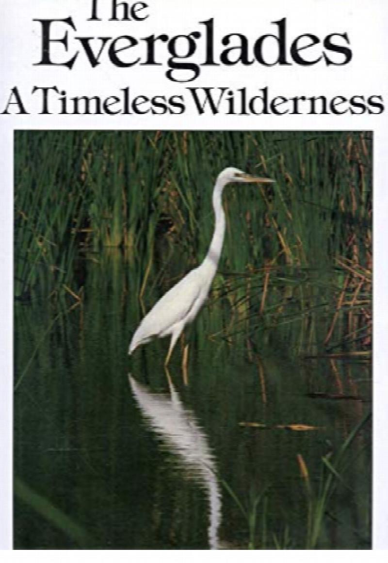 Image for The Everglades: A Timeless Wilderness