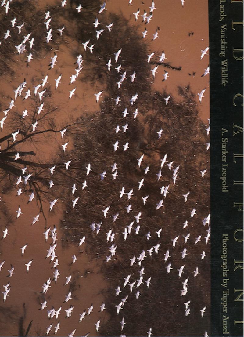 Image for Wild California: Vanishing Lands, Vanishing Wildlife