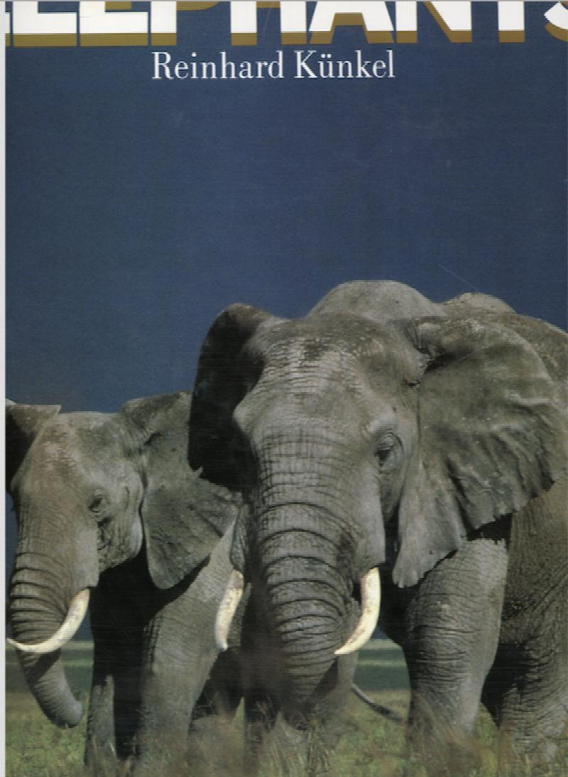 Image for Elephants