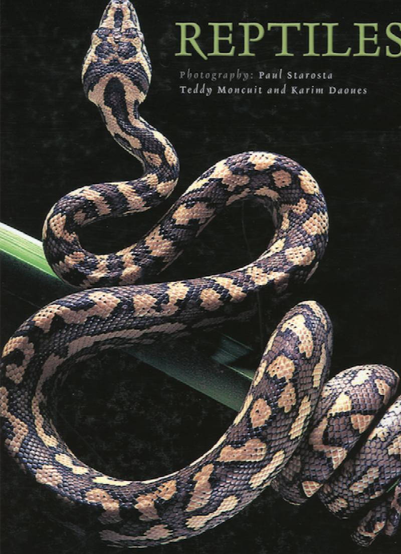Image for Reptiles