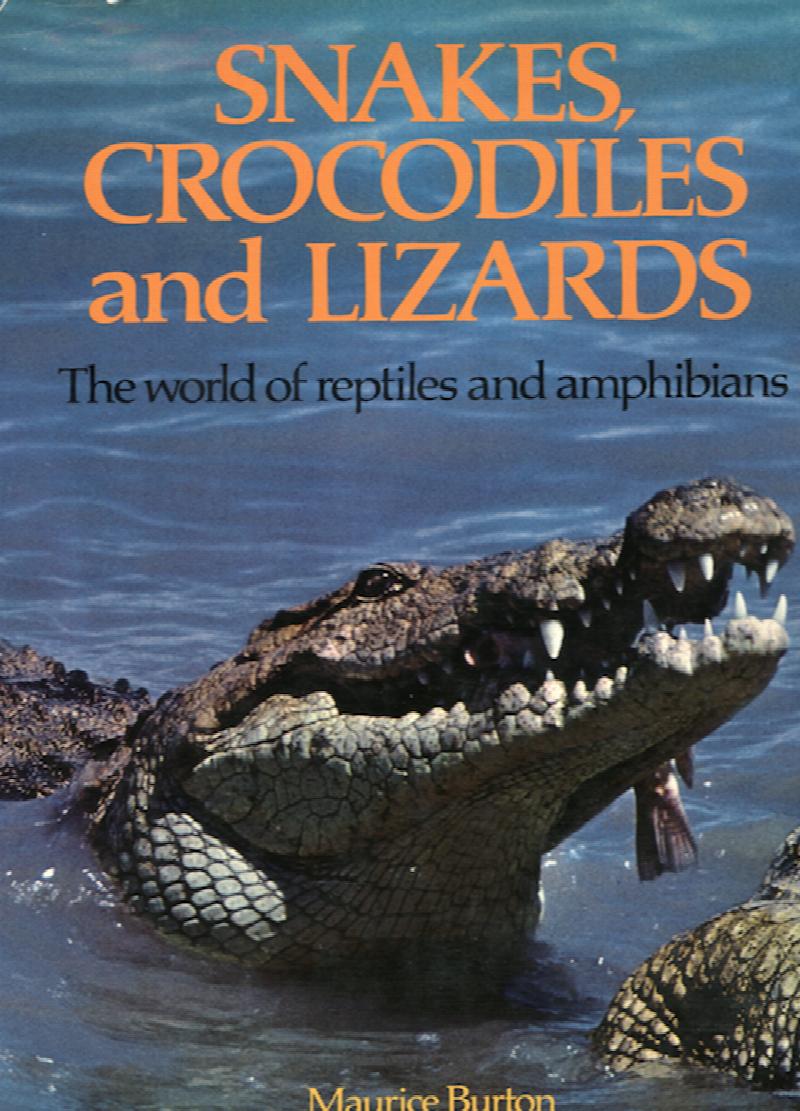 Image for Snakes, Crocodiles and Lizards: The world of reptiles and amphibians