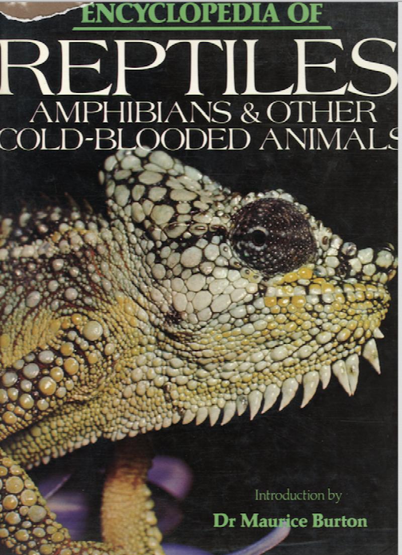Image for Encyclopedia of Reptiles, Amphibians & other Cold-blooded Animals