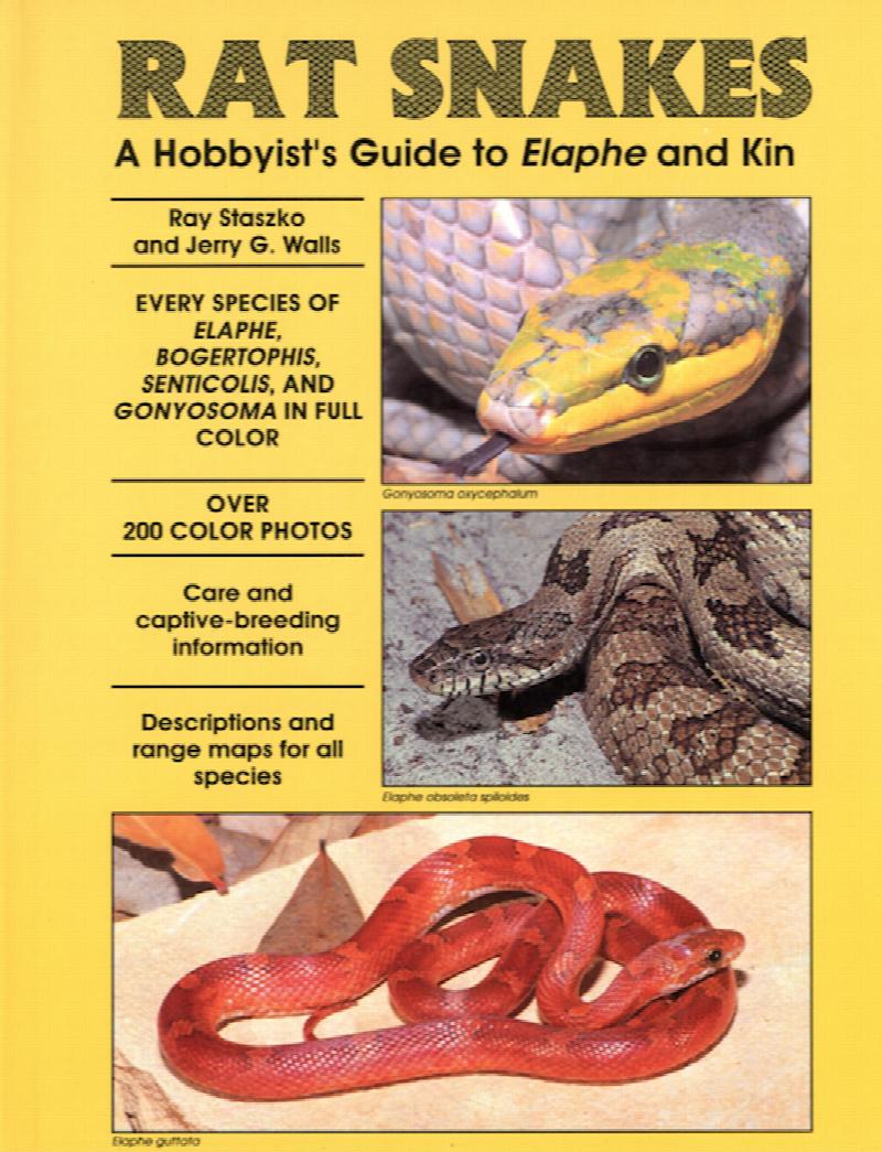 Image for Rat Snakes: A Hobbyist's Guide to Elaphe and Kin