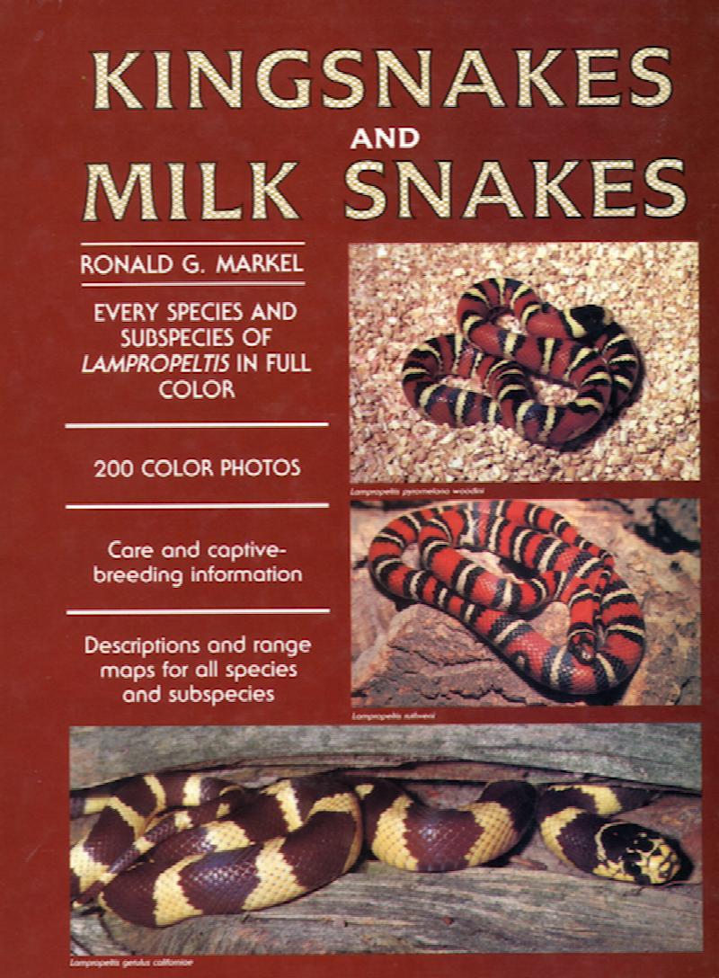 Image for Kingsnakes and Milk Snakes