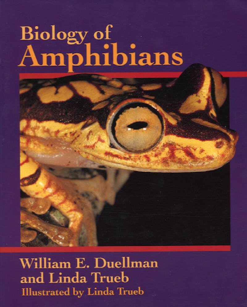 Image for Biology of Amphibians