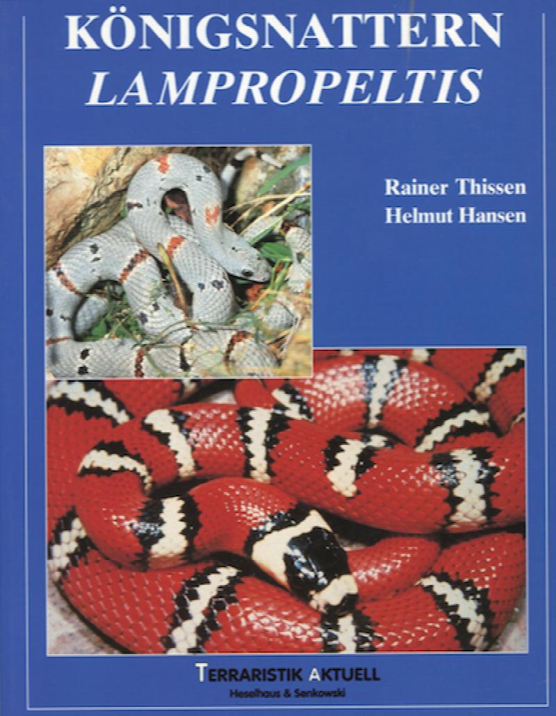 Image for Königsnattern Lampropeltis (= Kingsnakes Lampropeltis), In German