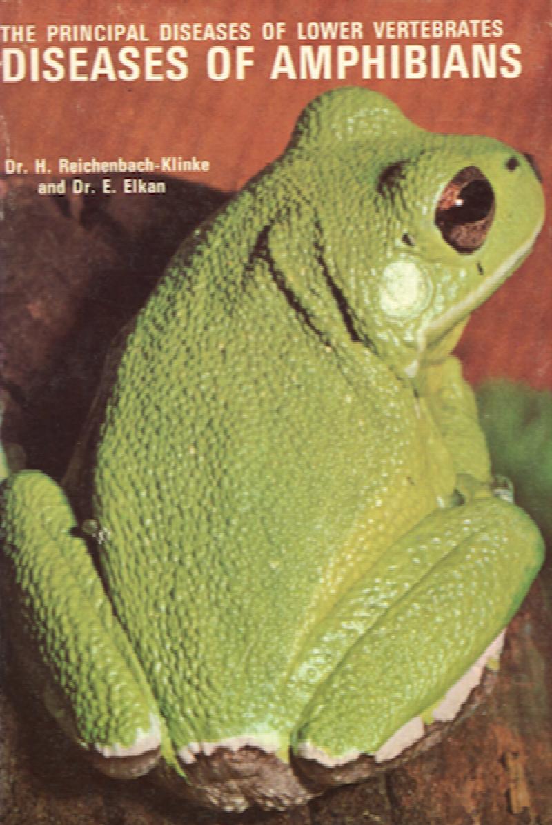 Image for Diseases of Amphibians.