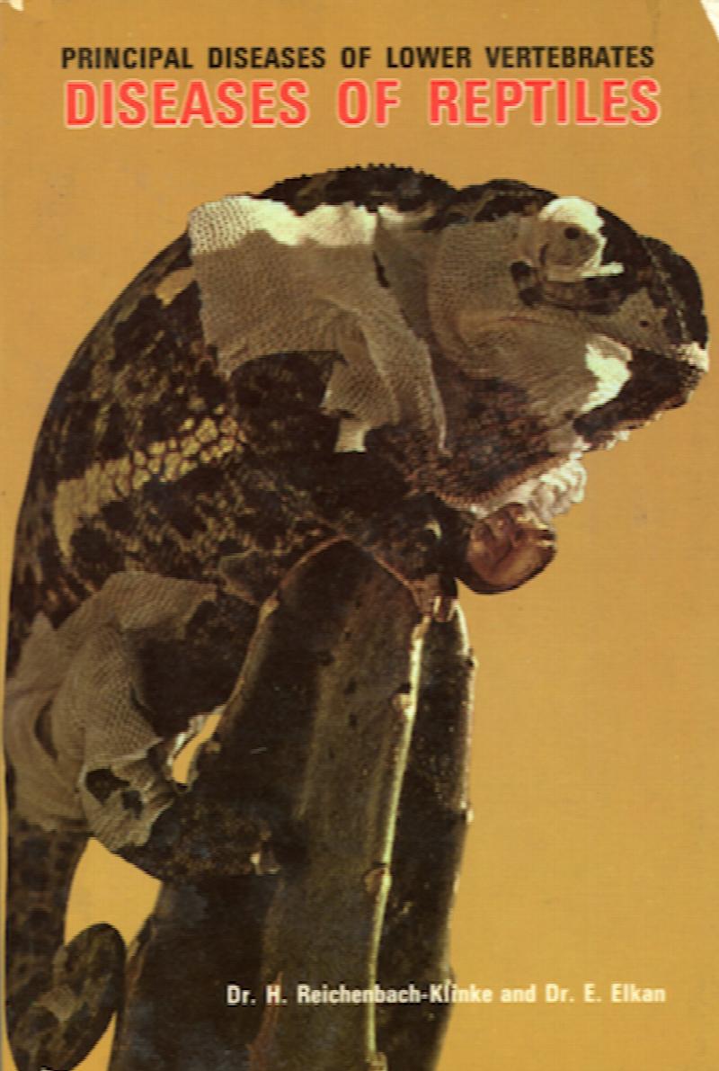 Image for Diseases of Reptiles