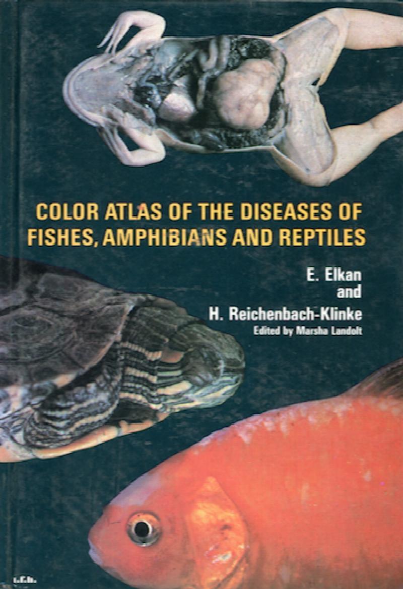 Image for Color Atlas of the Diseases of Fishes, Amphibians and Reptiles
