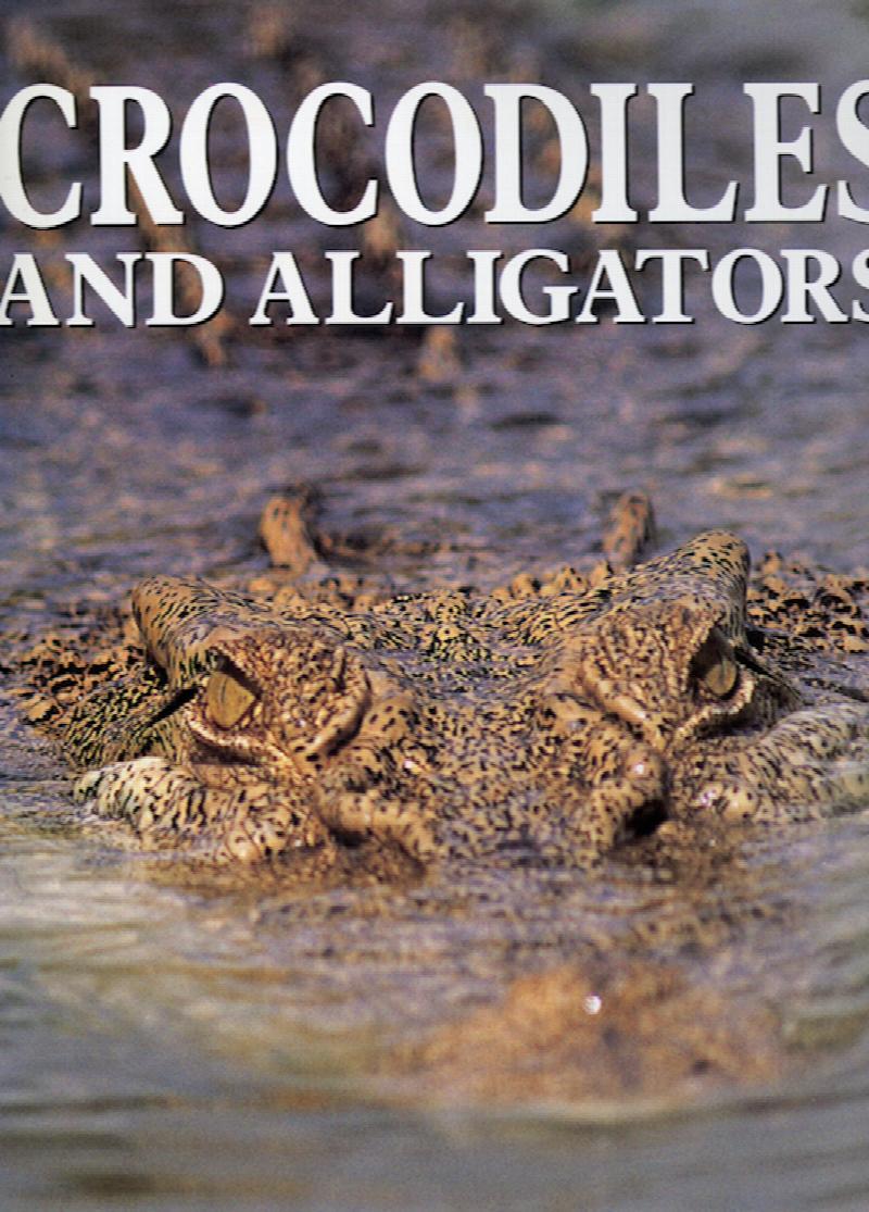 Image for Crocodiles and Alligators