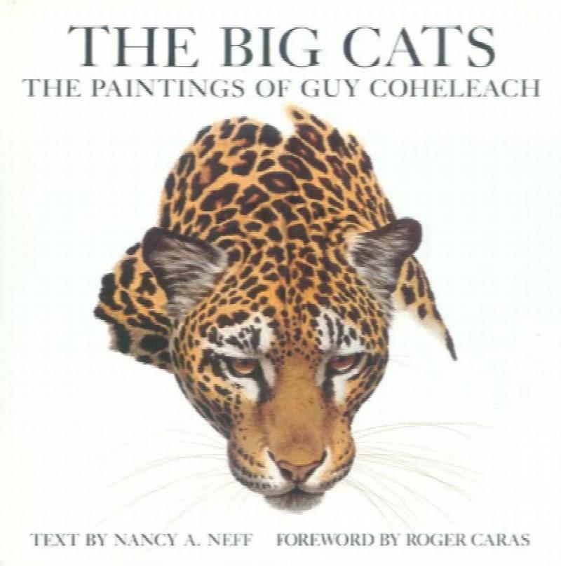 Image for The Big Cats: The Paintings of Guy Coheleach
