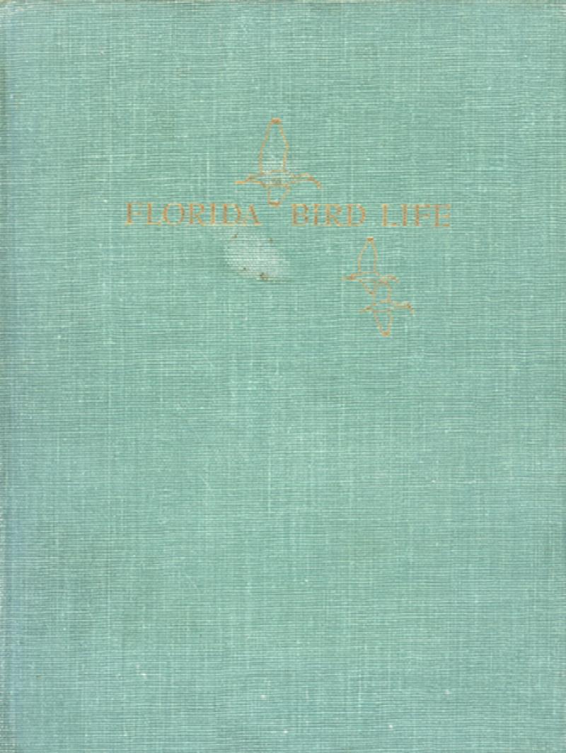 Image for Florida Bird Life