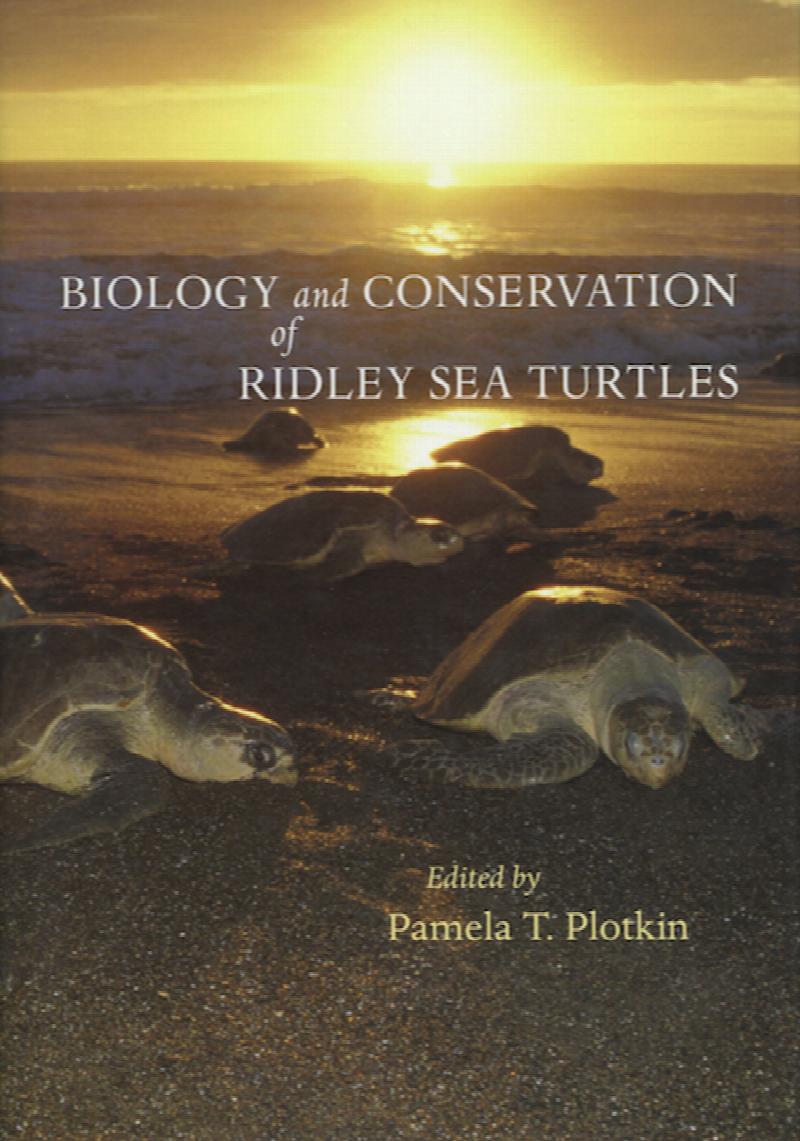 Image for Biology and Conservation of Ridley Sea Turtles