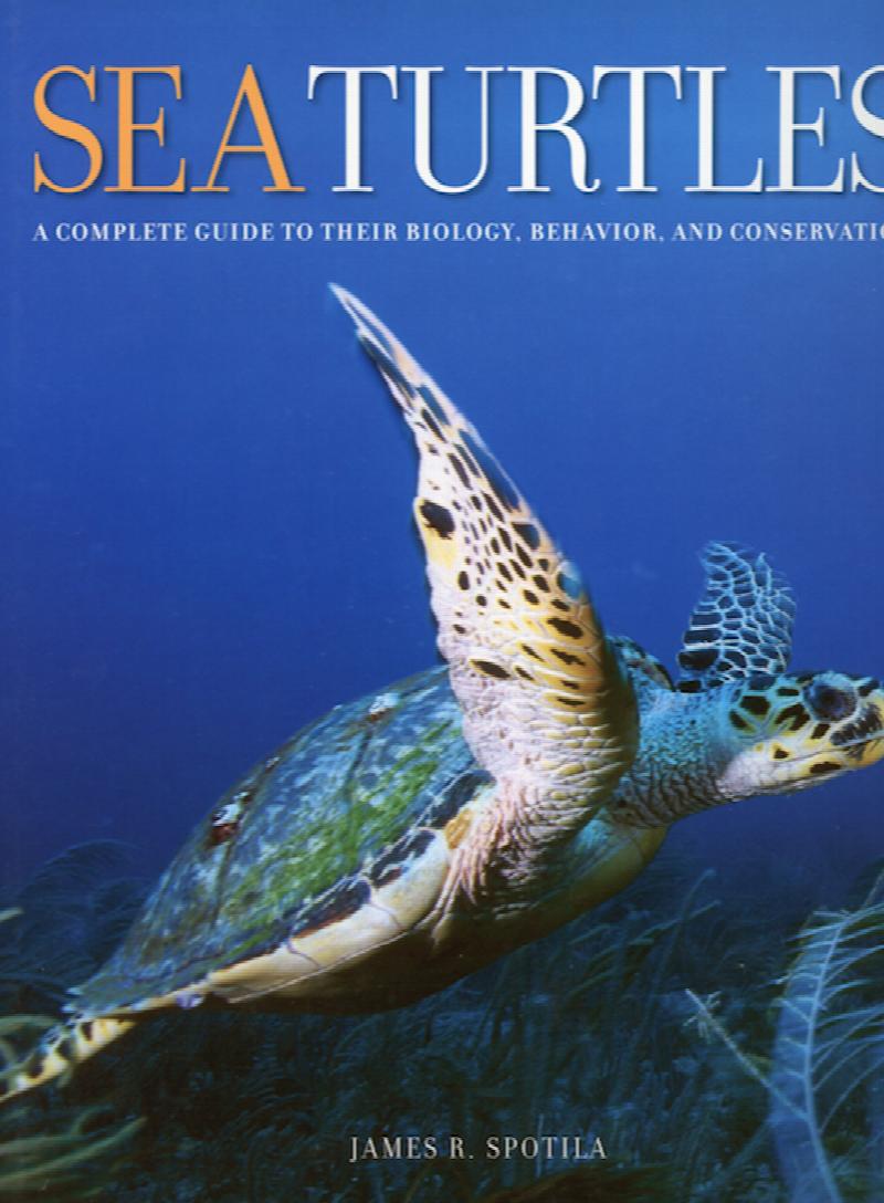 Image for Sea Turtles: A Complete Guide to their Biology, Behavior, and Conservation