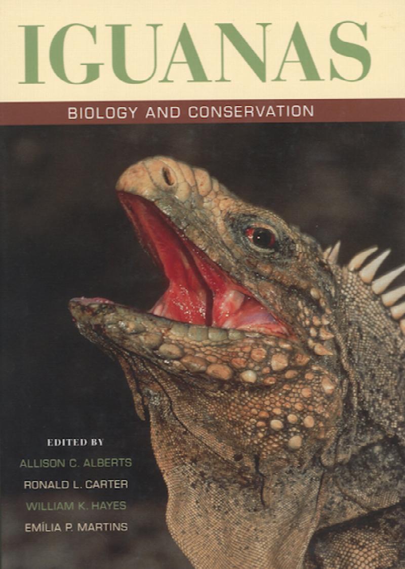 Image for Iguanas: Biology and Conservation