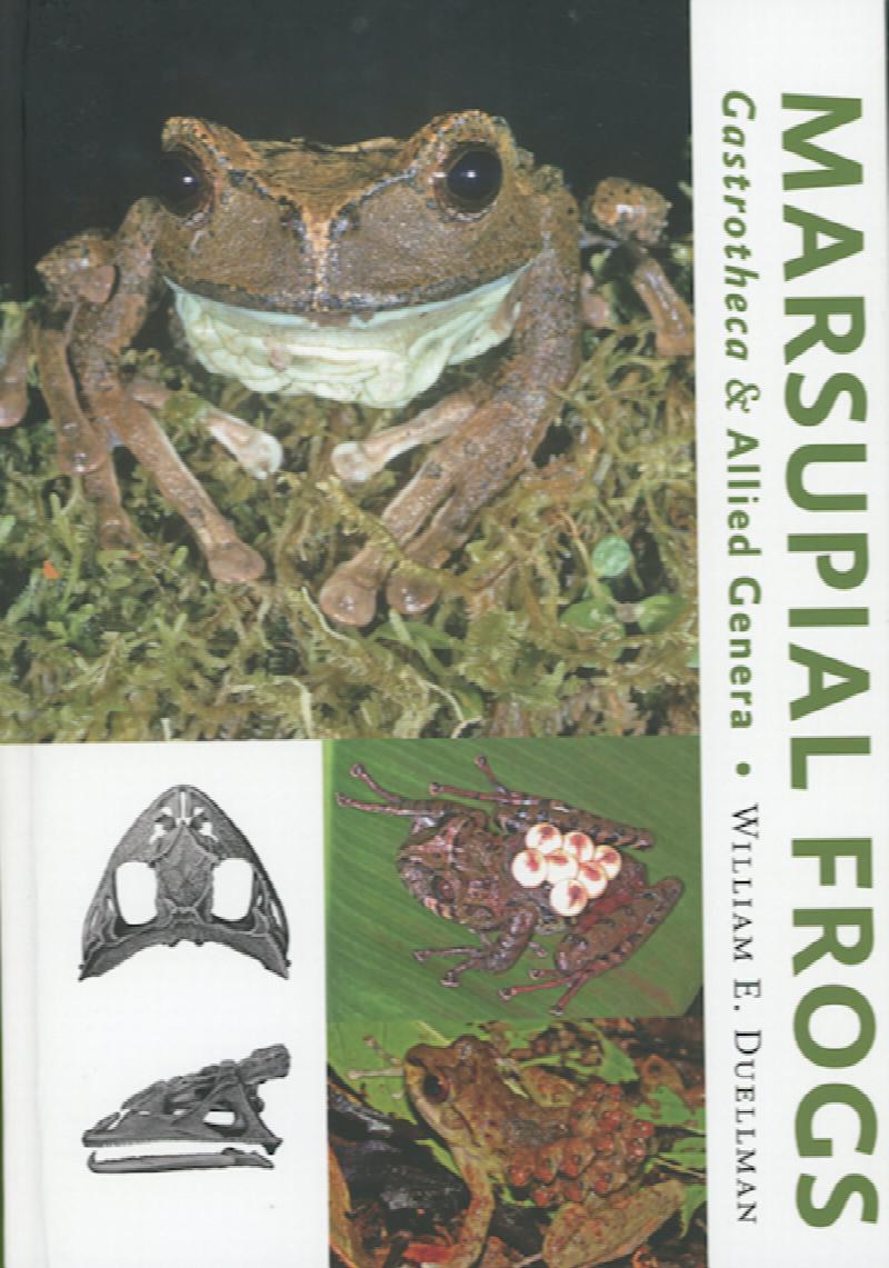Image for Marsupial Frogs: Gastrotheca and Allied Genera