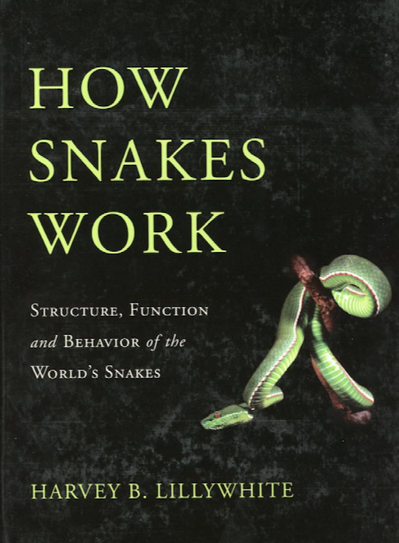 Image for How Snakes Work: Structure, Function, and Behavior of the World's Snakes