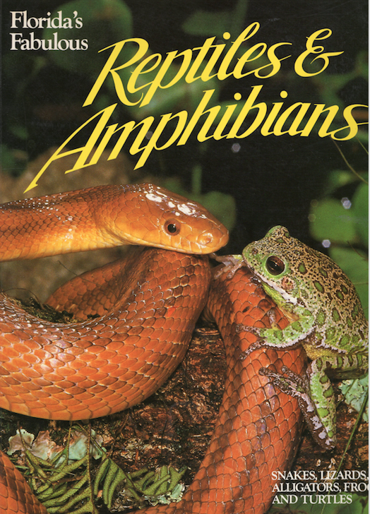 Florida's Fabulous Reptiles & Amphibians: Snakes, Lizards, Alligators