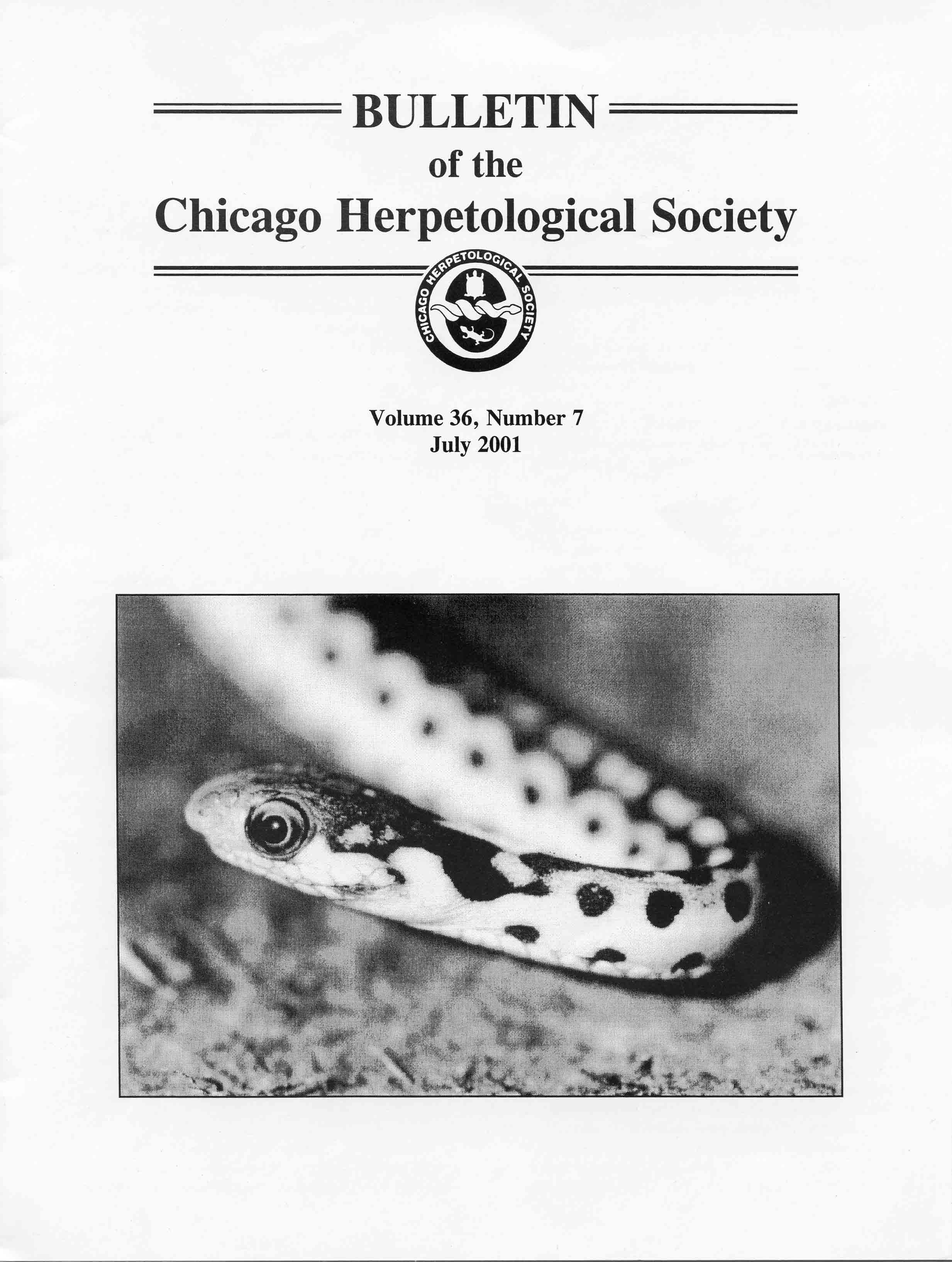 Image for Bulletin of the Chicago Herpetological Society 36(7) July 2001,