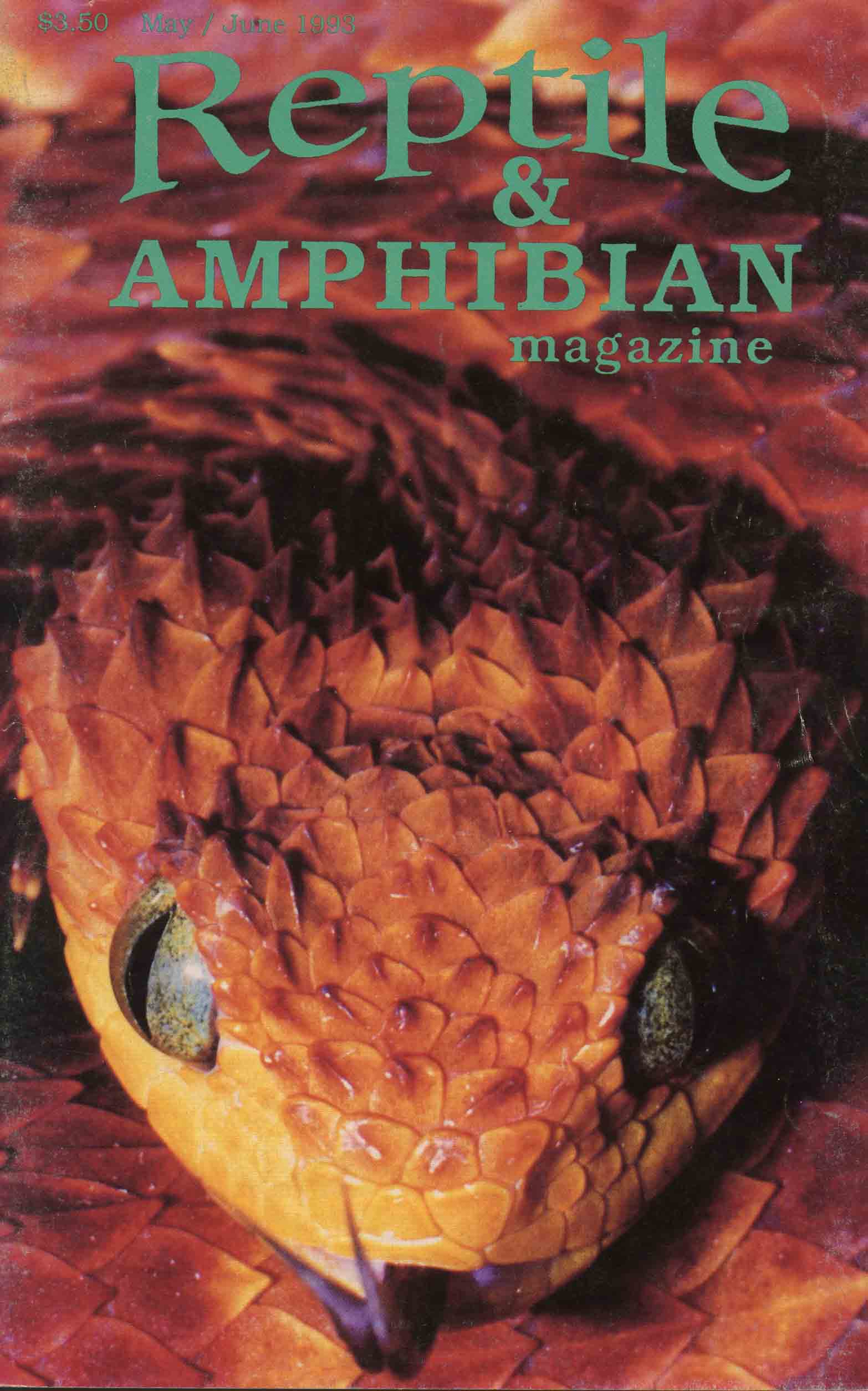 Image for Reptile & Amphibian Magazine, May / June 1993