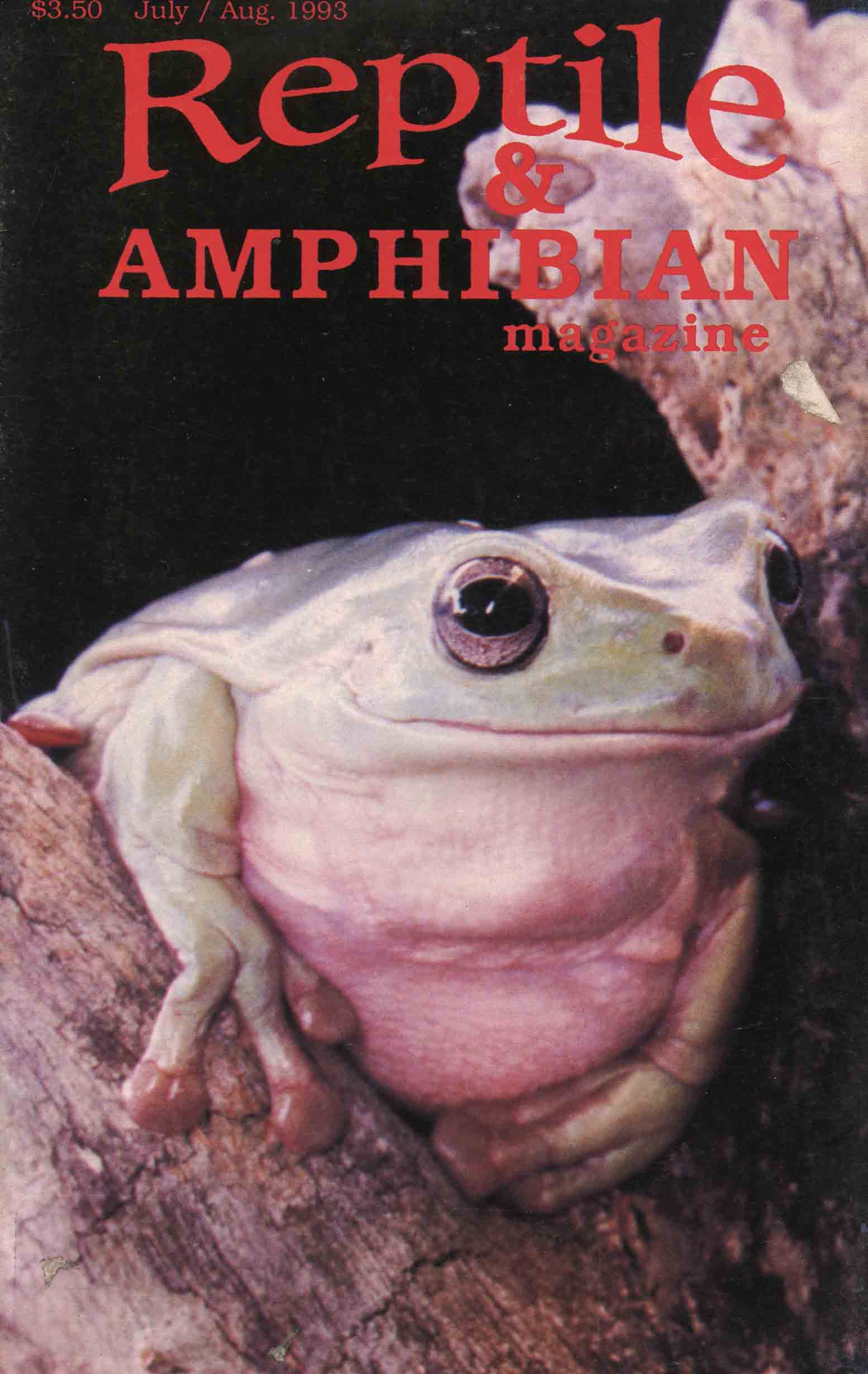 Image for Reptile & Amphibian Magazine, July / Aug. 1993