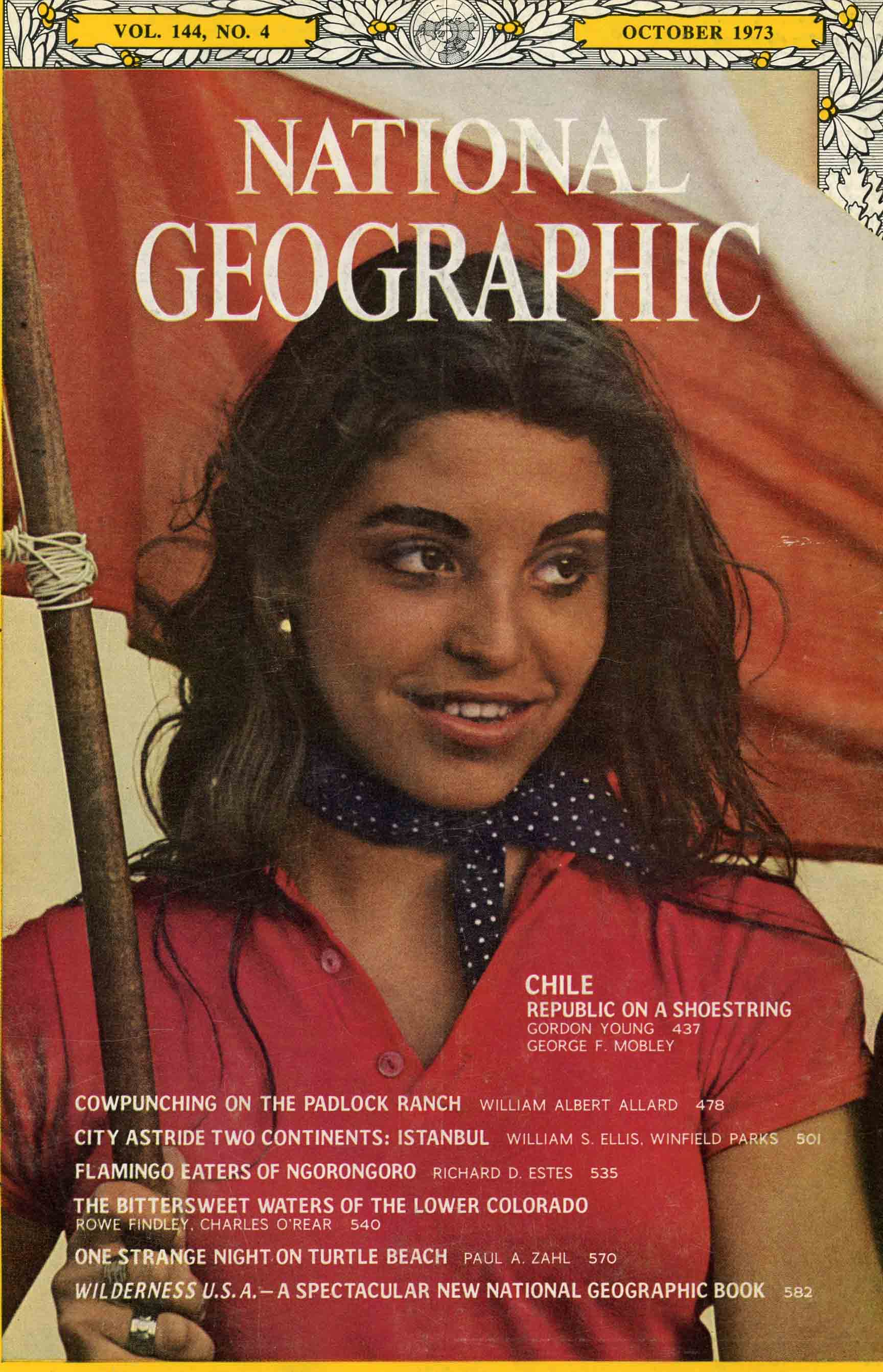 Image for National Geographic (11 issues),