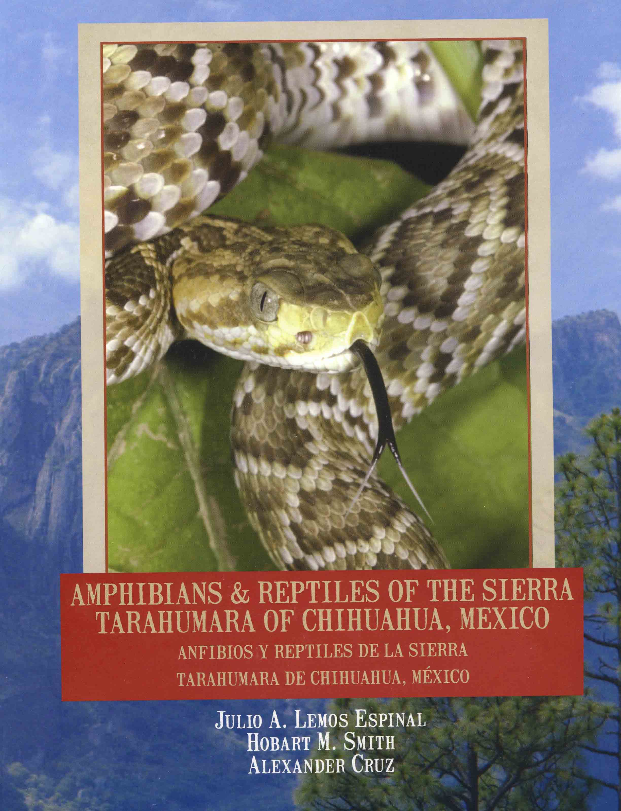 Image for Amphibians & Reptiles of the Sierra Tarahumara of Chihuahua, Mexico,