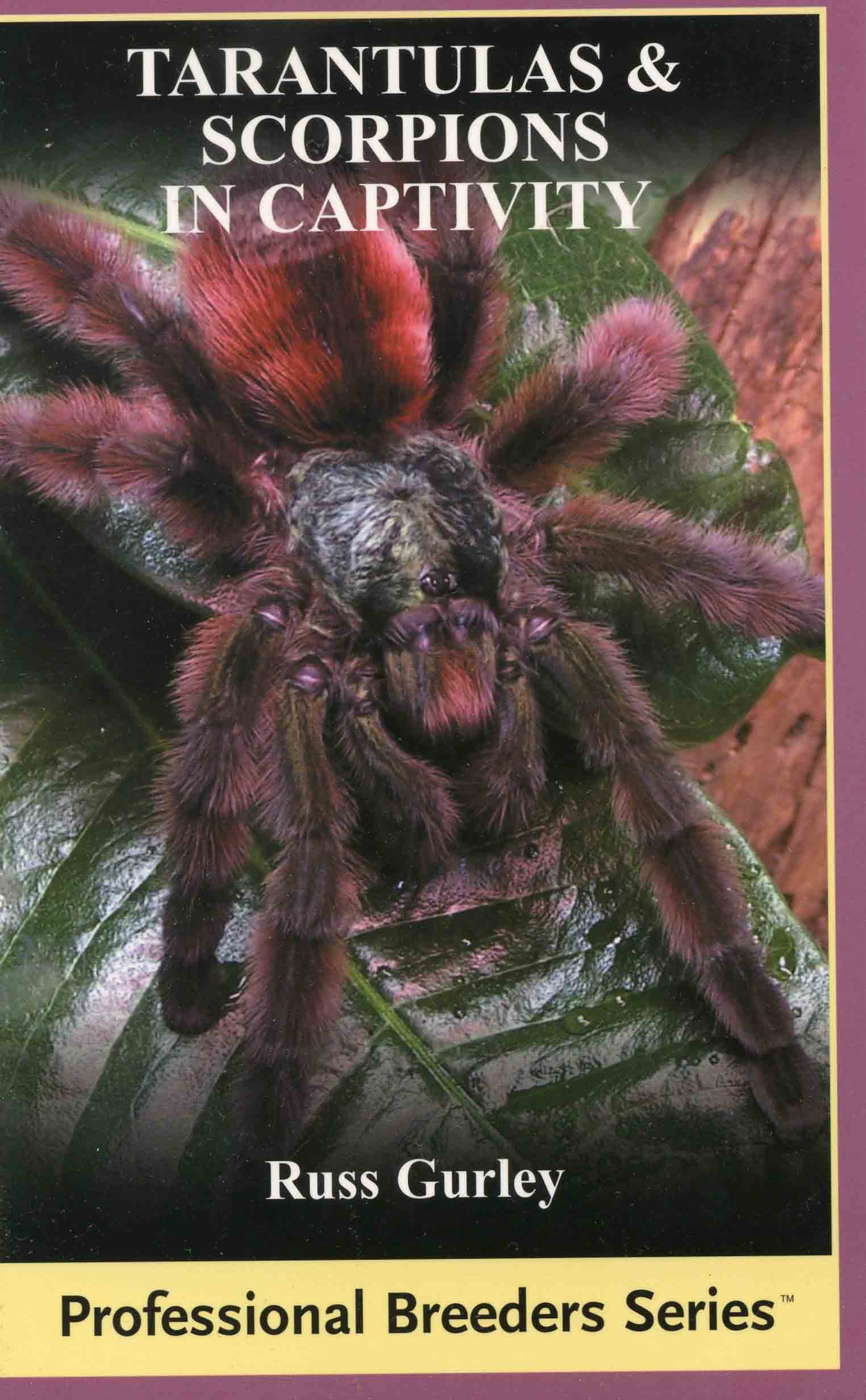 Image for Tarantulas and Scorpions in Captivity,