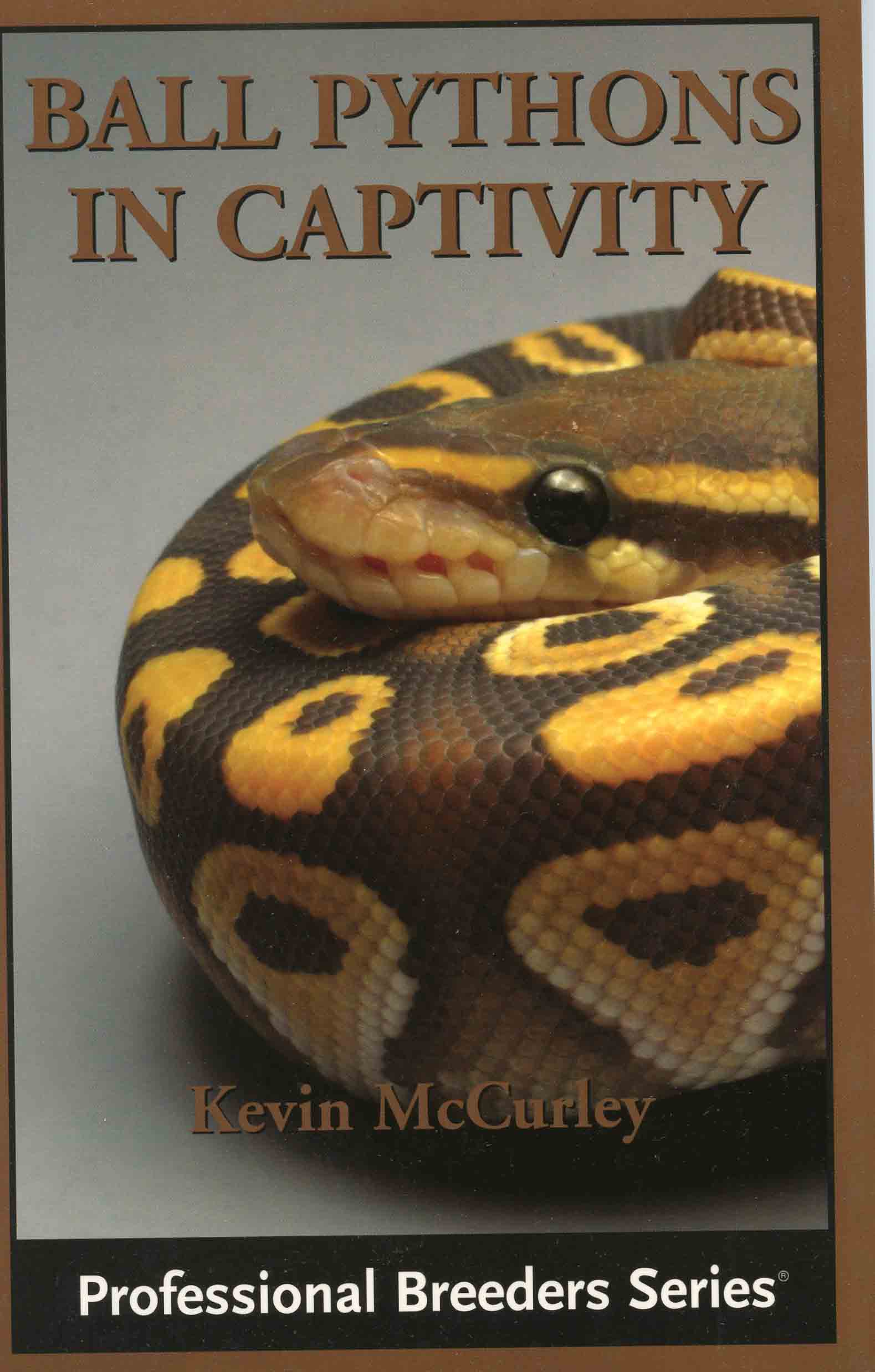 Image for Ball Pythons in Captivity,